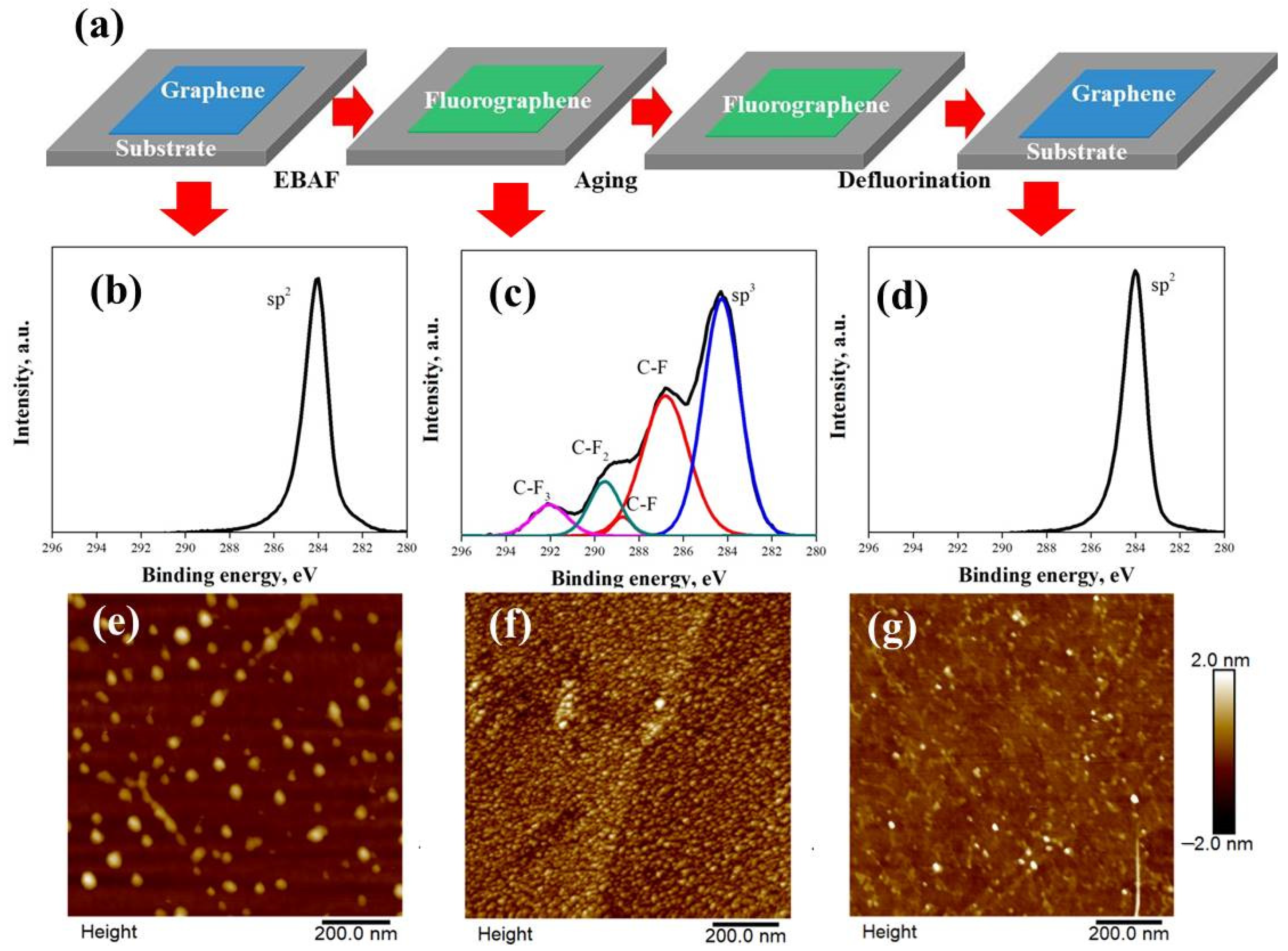 Nanomaterials 12 00383 g002