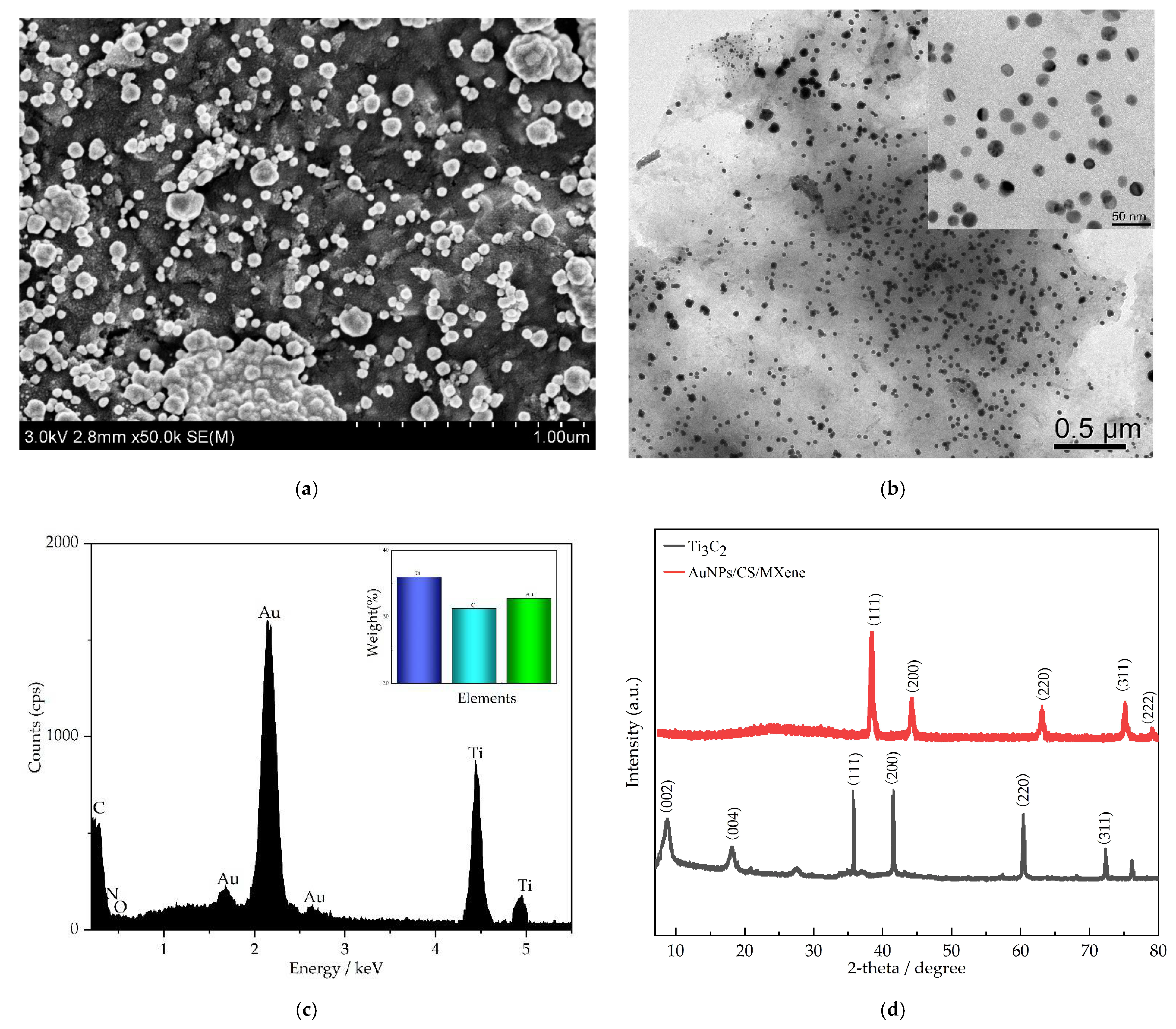 Nanomaterials 12 00397 g001