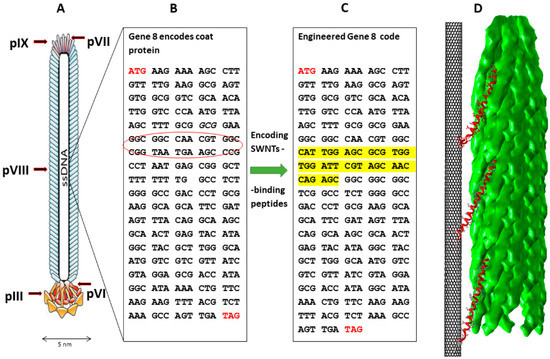 Nanomaterials 12 00398 g001 550