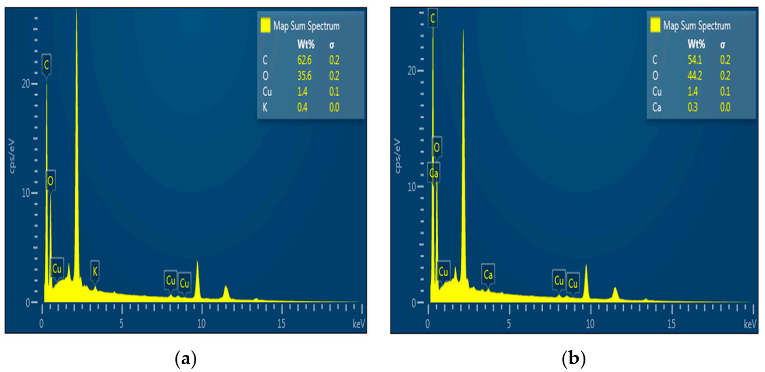 Nanomaterials 12 00400 g004