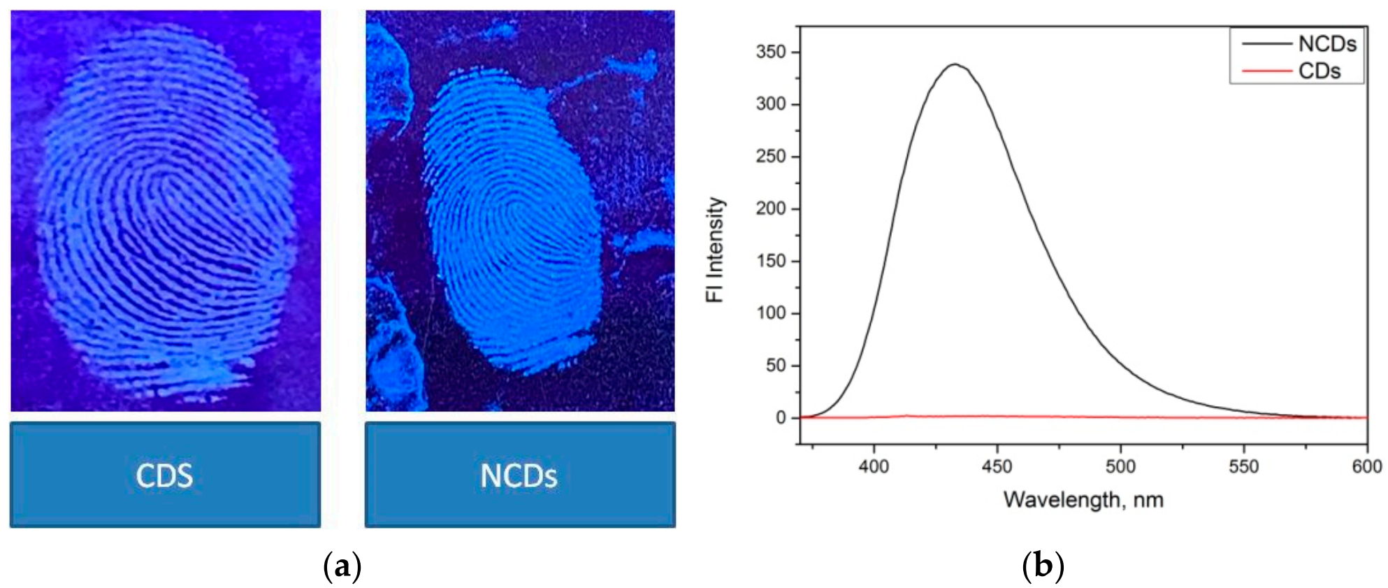 Nanomaterials 12 00400 g011