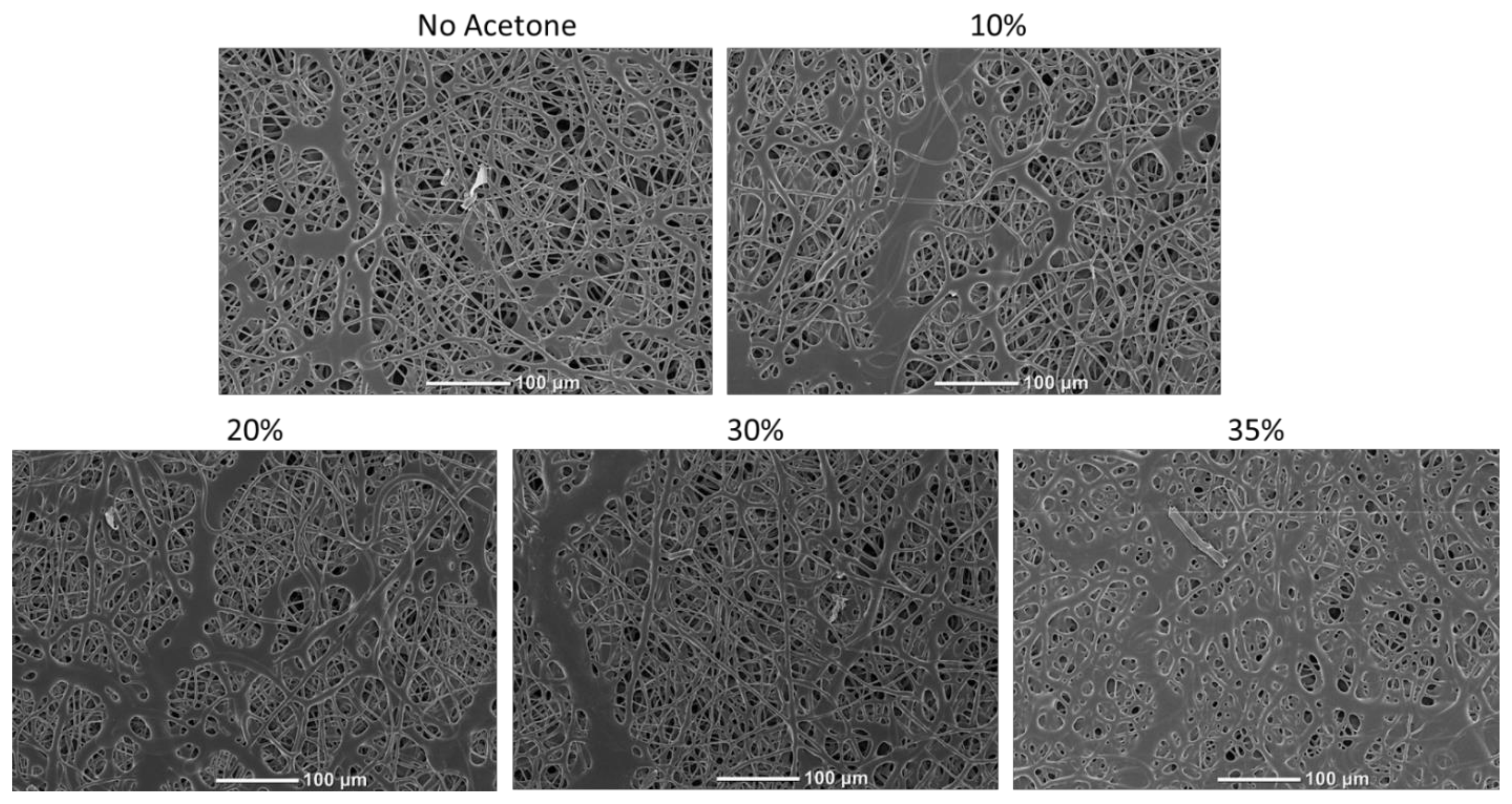 Nanomaterials 12 00406 g003