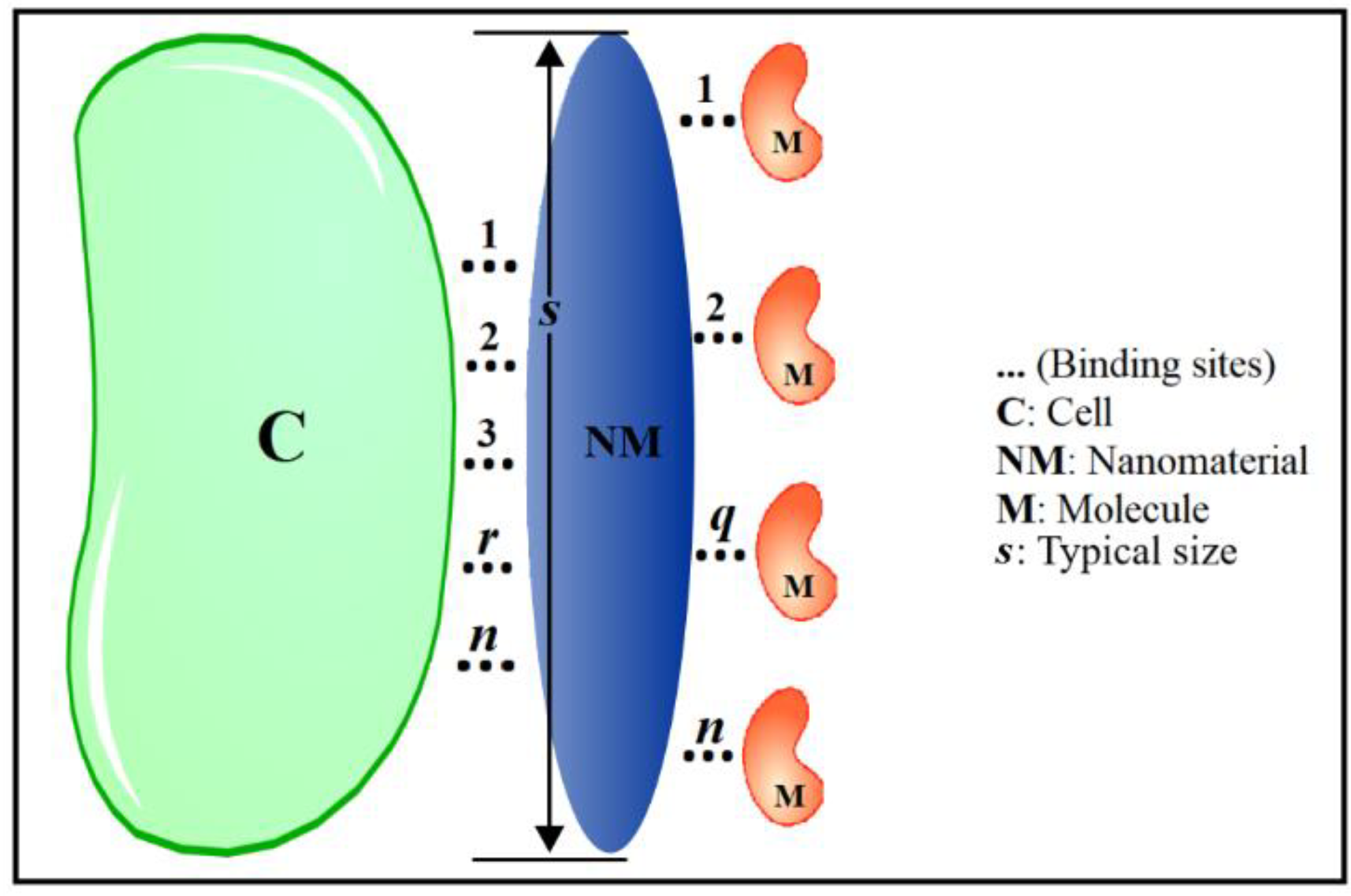 Nanomaterials 12 00413 sch001 Nanomaterials 12 00413 sch001