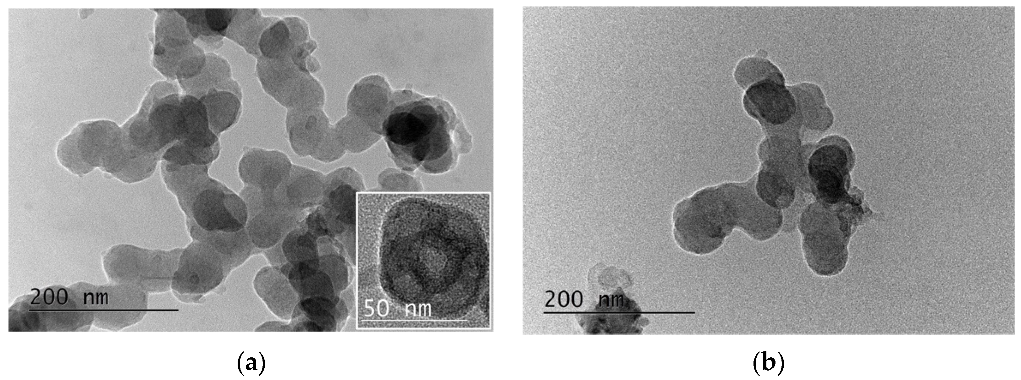 Nanomaterials 12 00434 g005