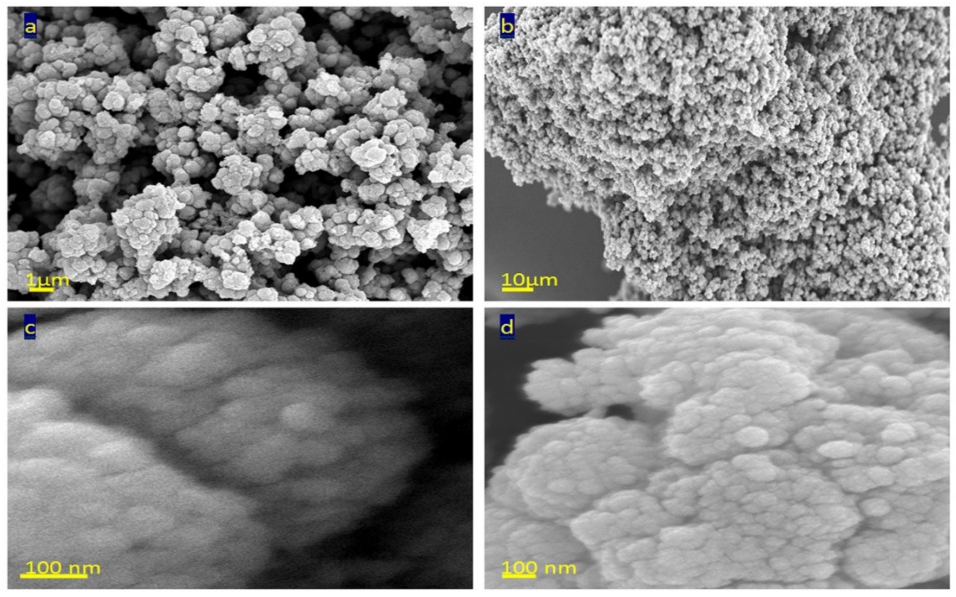 Nanomaterials 12 00440 g003