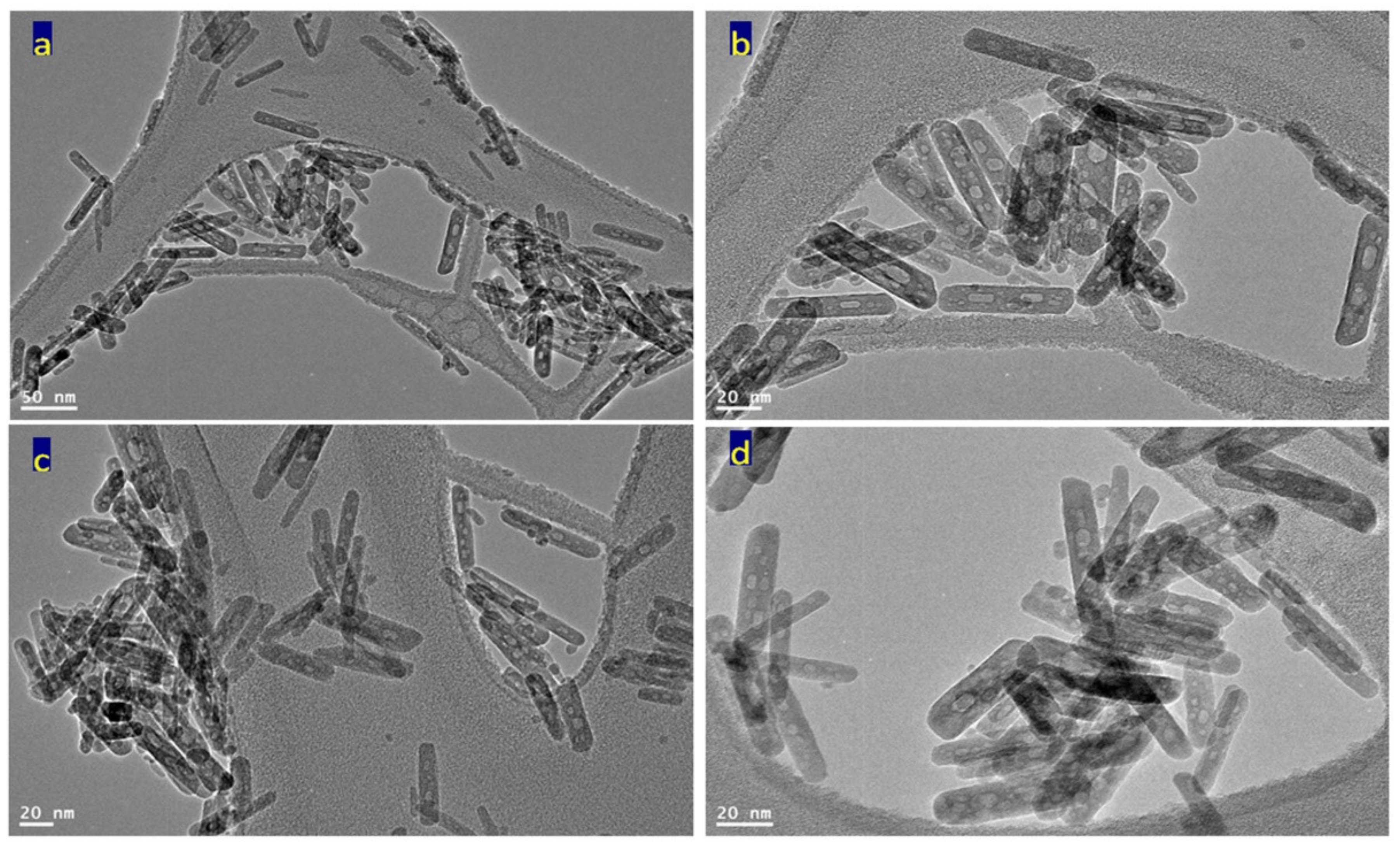 Nanomaterials 12 00440 g006