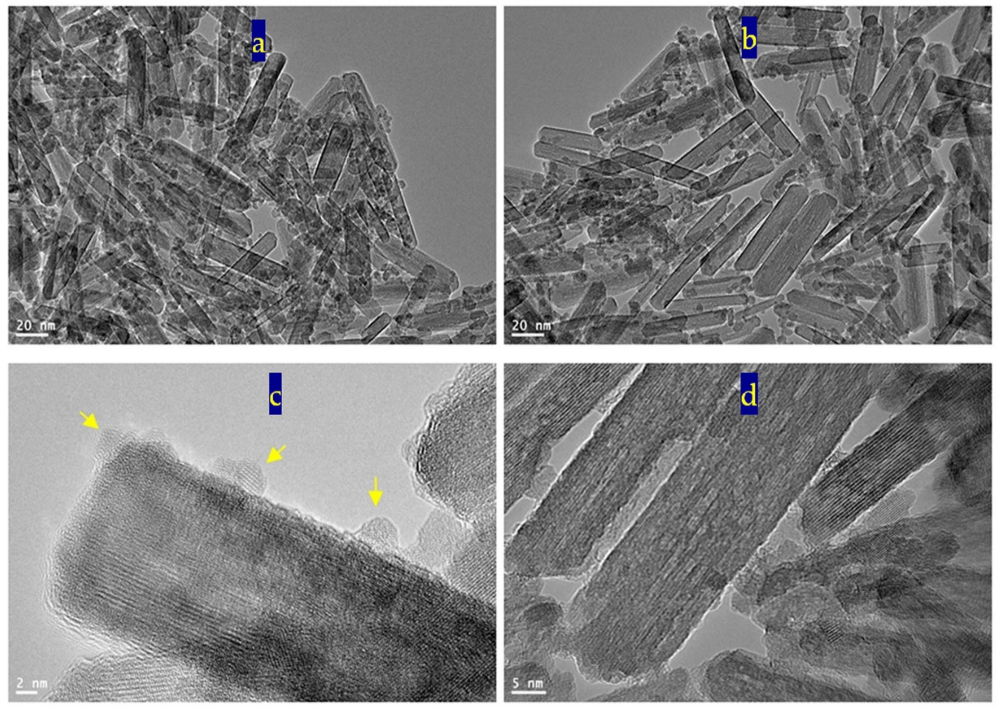 Nanomaterials 12 00440 g009