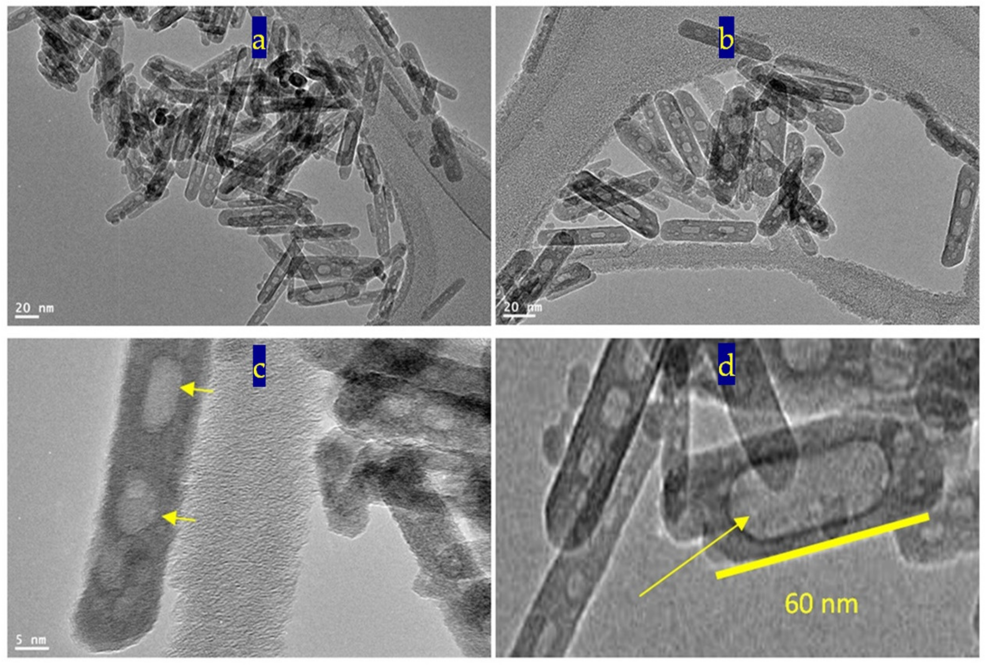 Nanomaterials 12 00440 g010