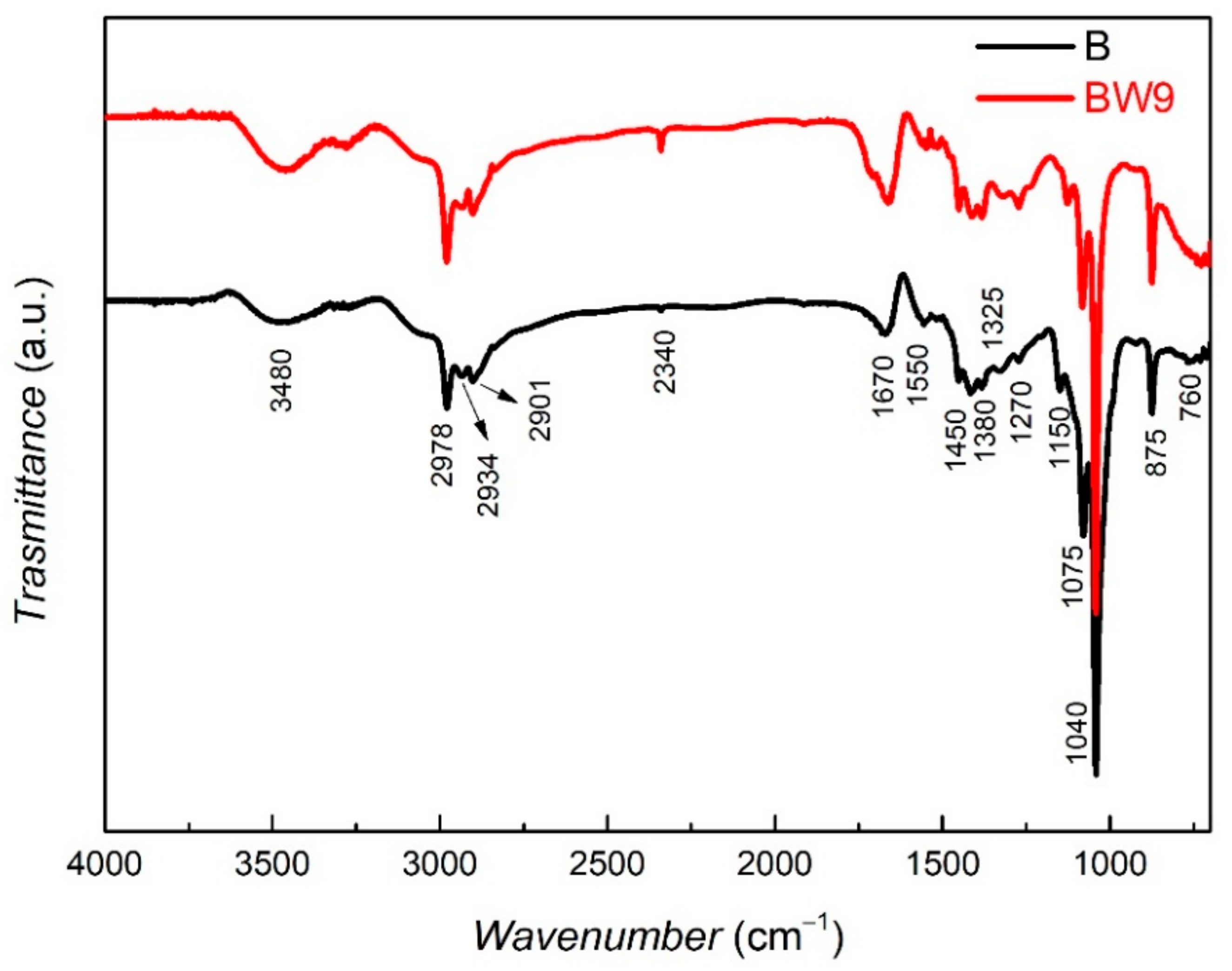 Nanomaterials 12 00442 g001