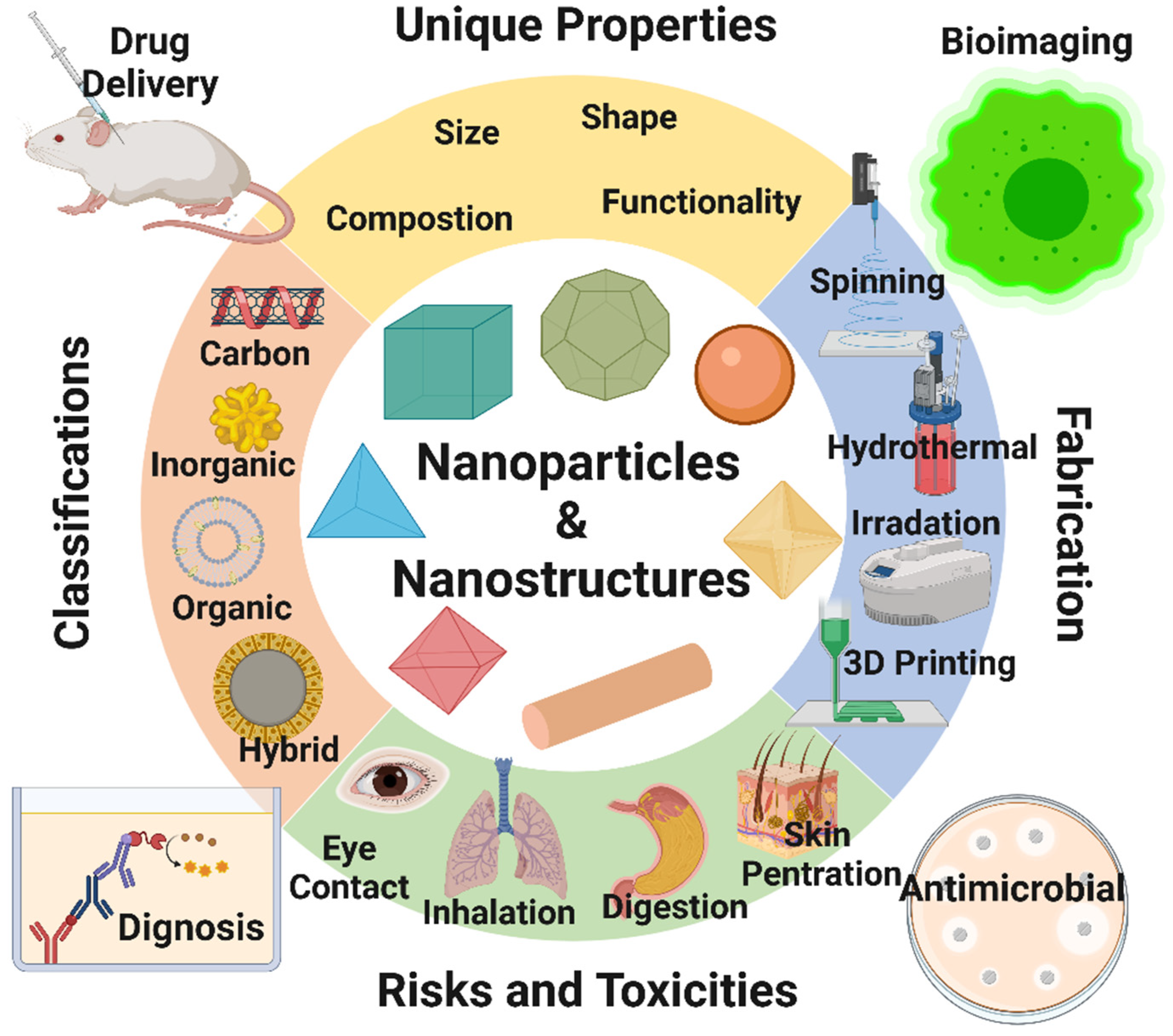 Nanomaterials 12 00457 g001