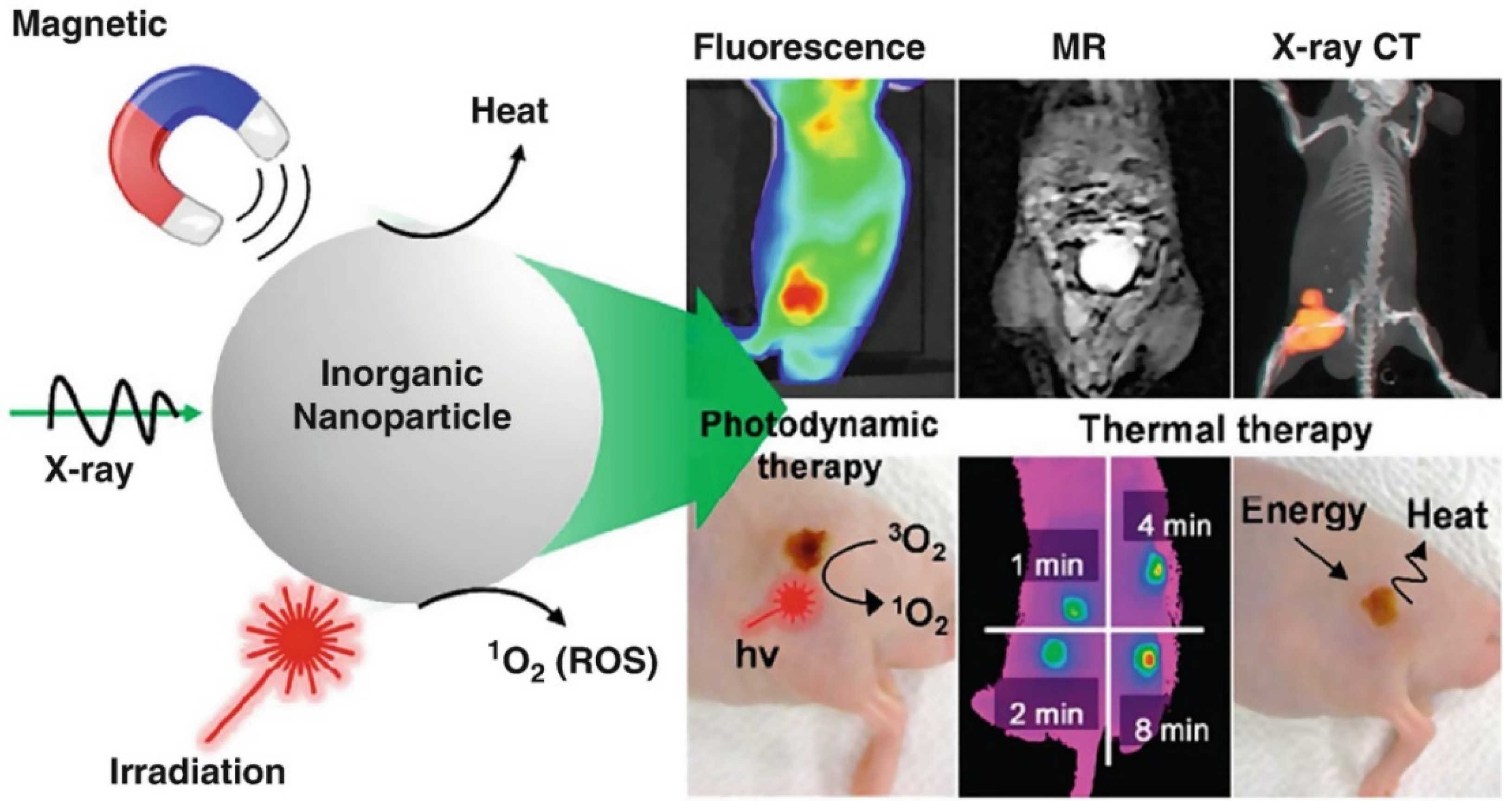 Nanomaterials 12 00457 g002