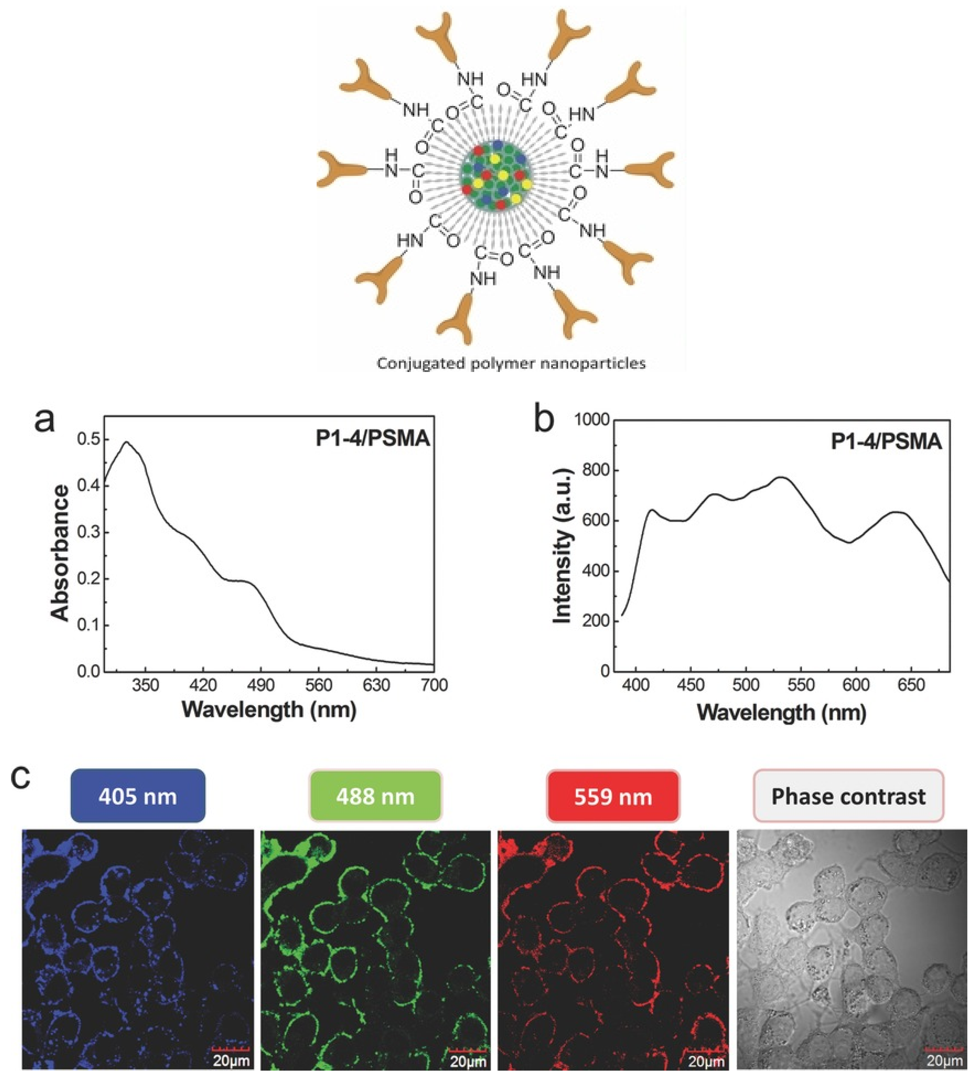Nanomaterials 12 00457 g004