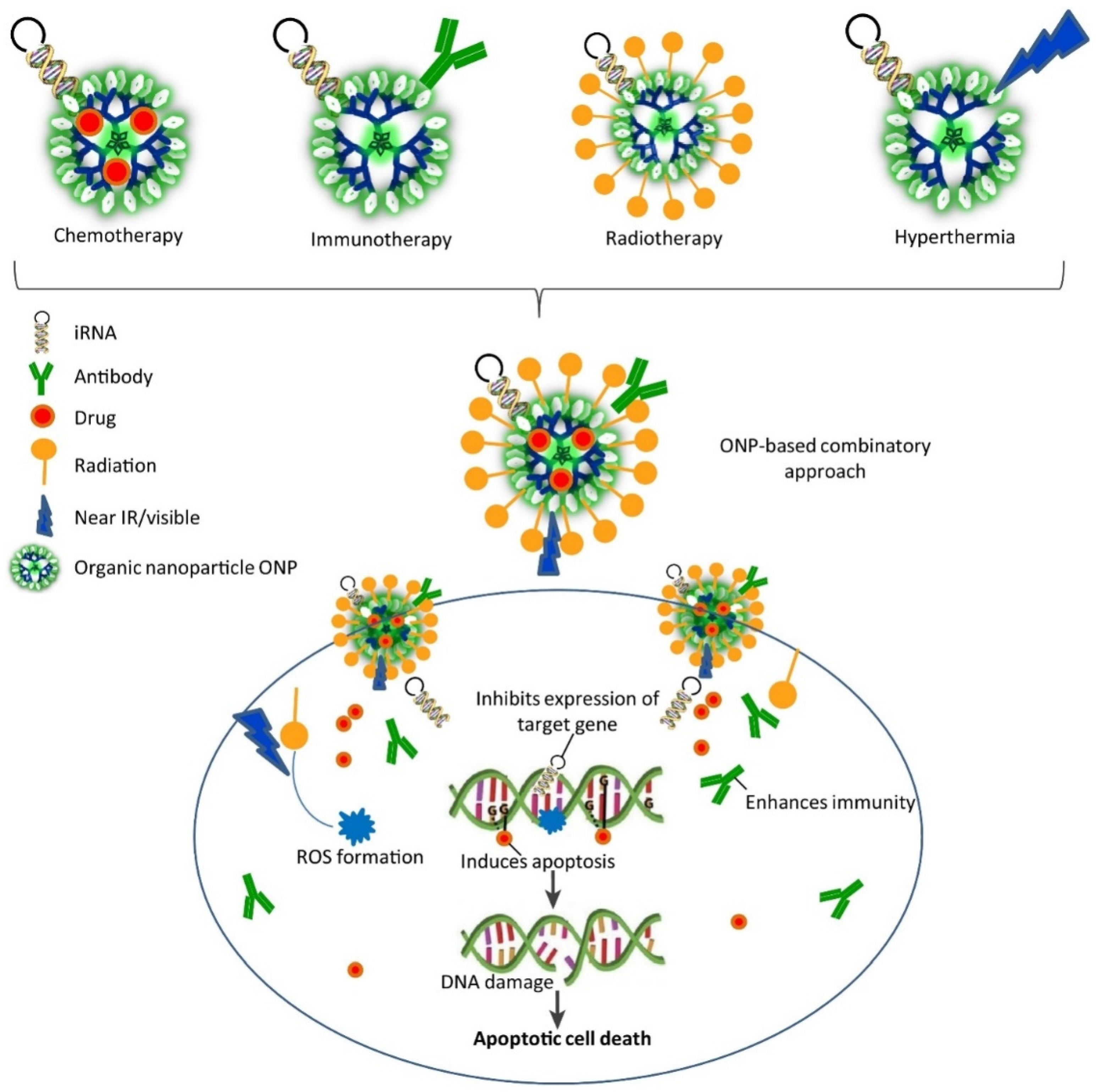 Nanomaterials 12 00457 g008