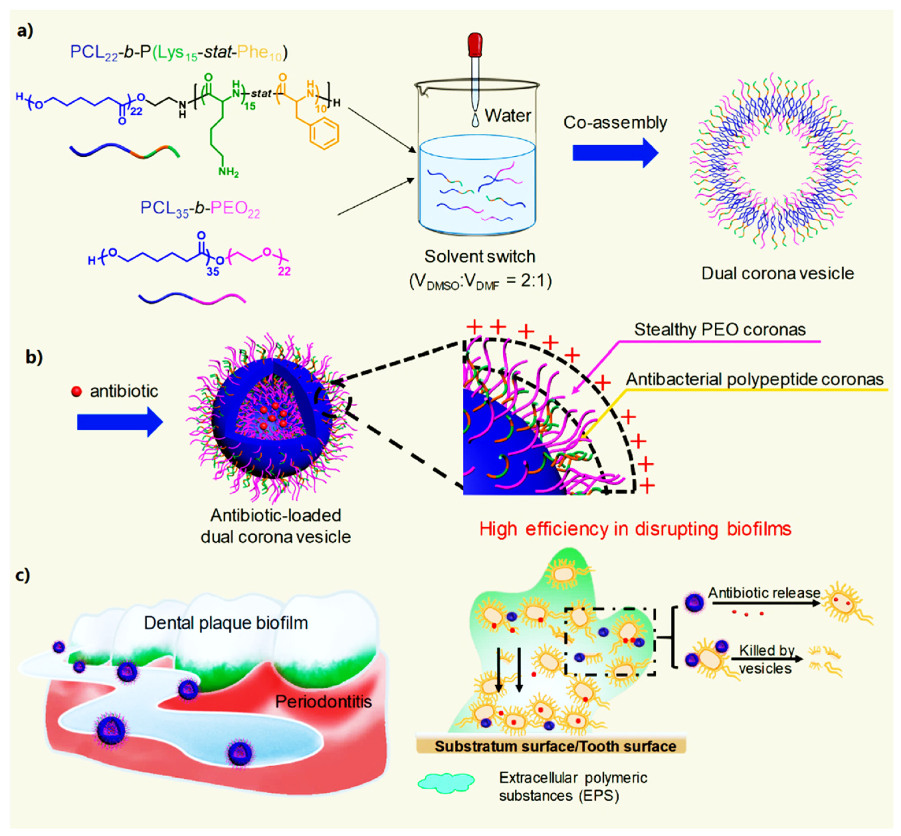 Nanomaterials 12 00457 g010