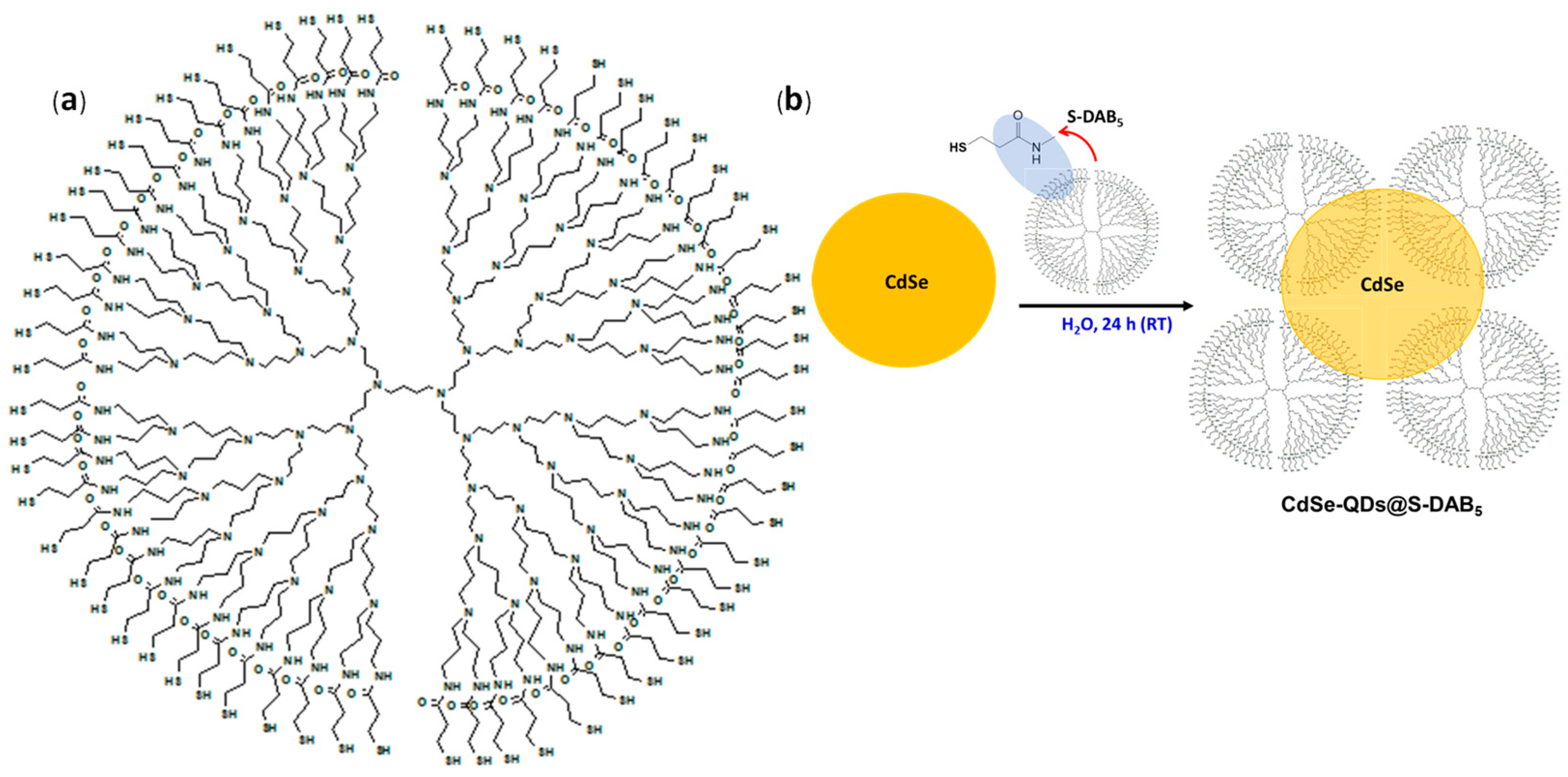 Nanomaterials 12 00484 g001