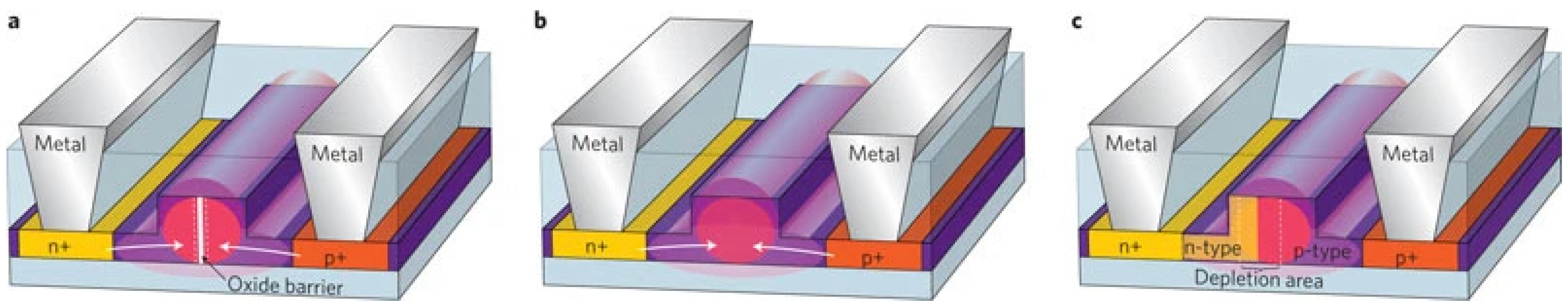 Nanomaterials 12 00485 g008