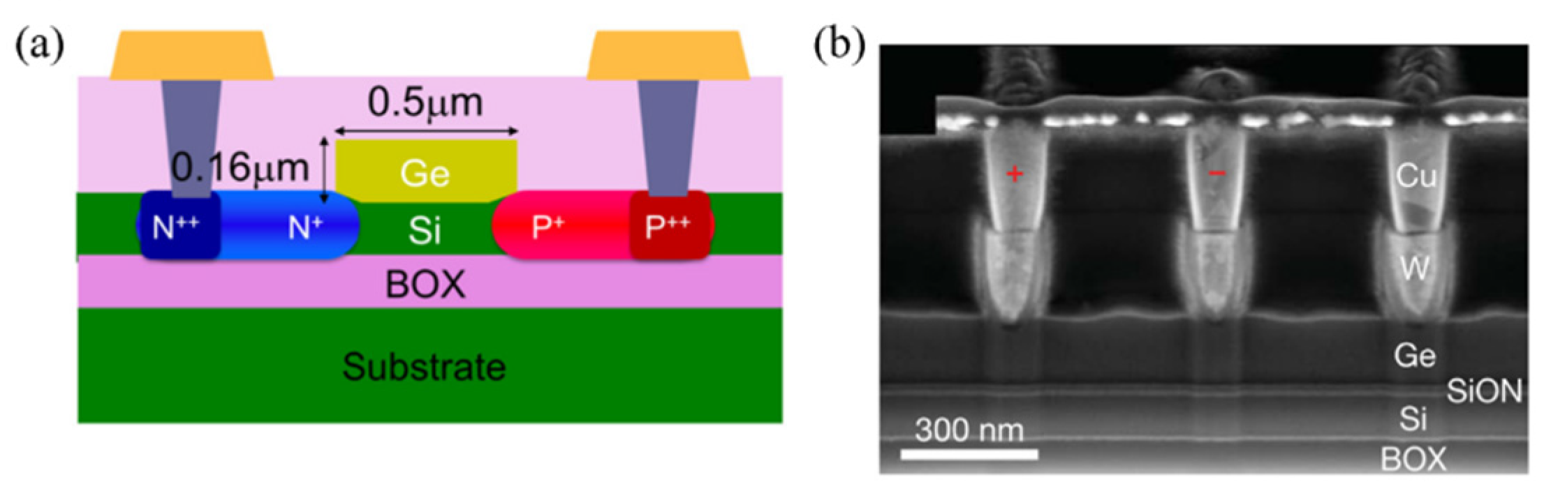 Nanomaterials 12 00485 g012