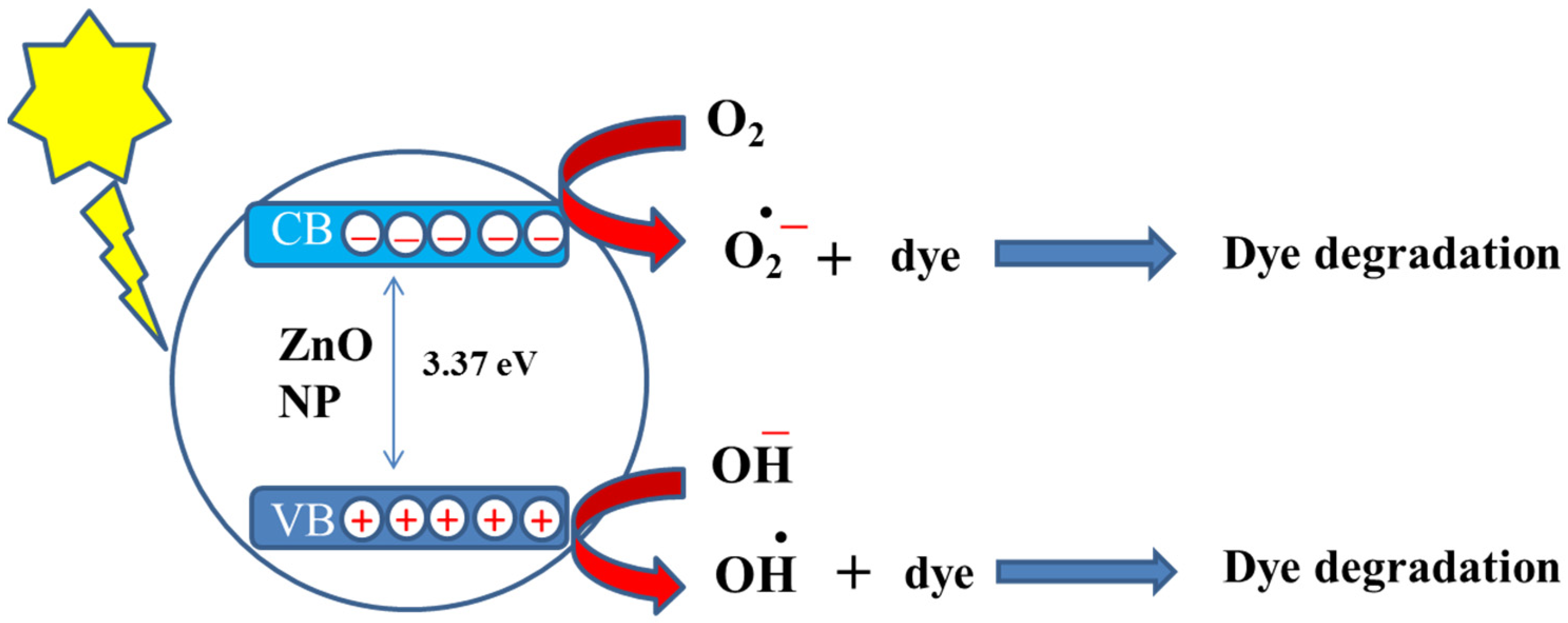 Nanomaterials 12 00486 g005