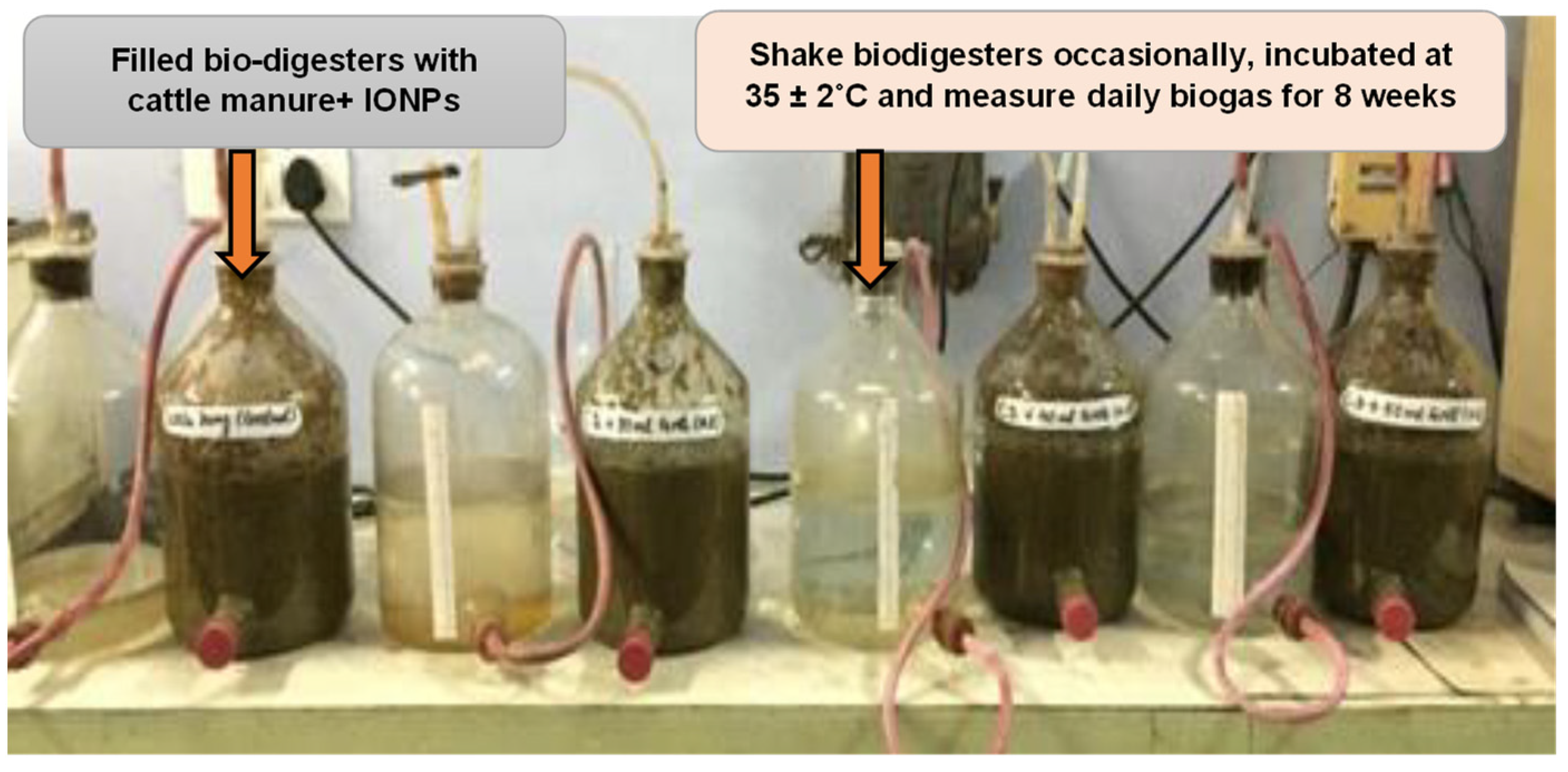 Nanomaterials 12 00497 g001 Nanomaterials 12 00497 g001