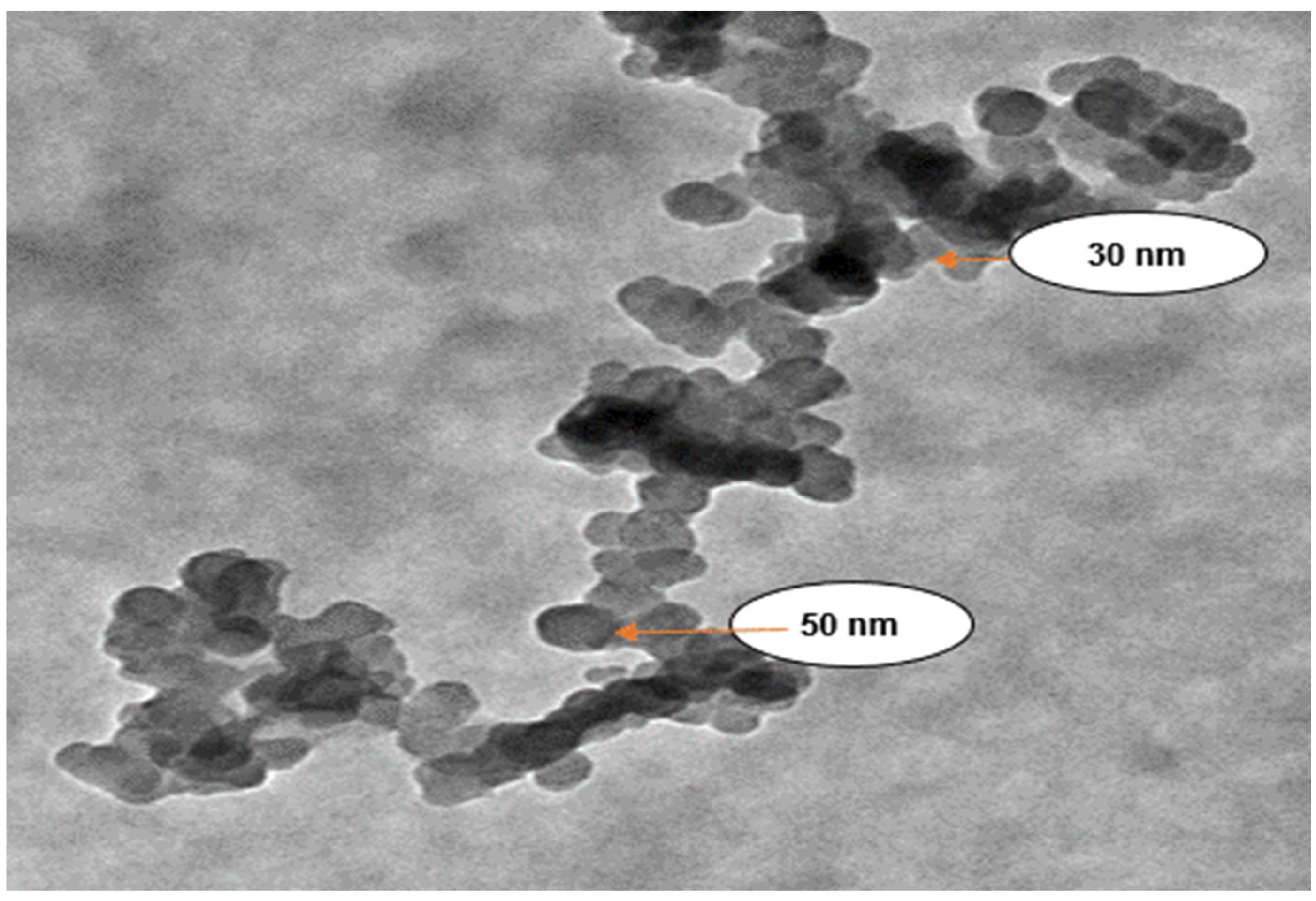Nanomaterials 12 00497 g006 Nanomaterials 12 00497 g006