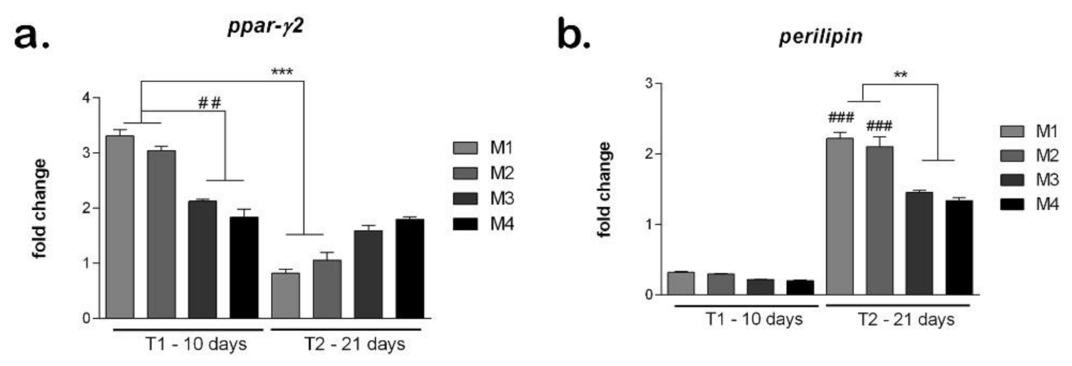 Nanomaterials 12 00503 g010 Nanomaterials 12 00503 g010