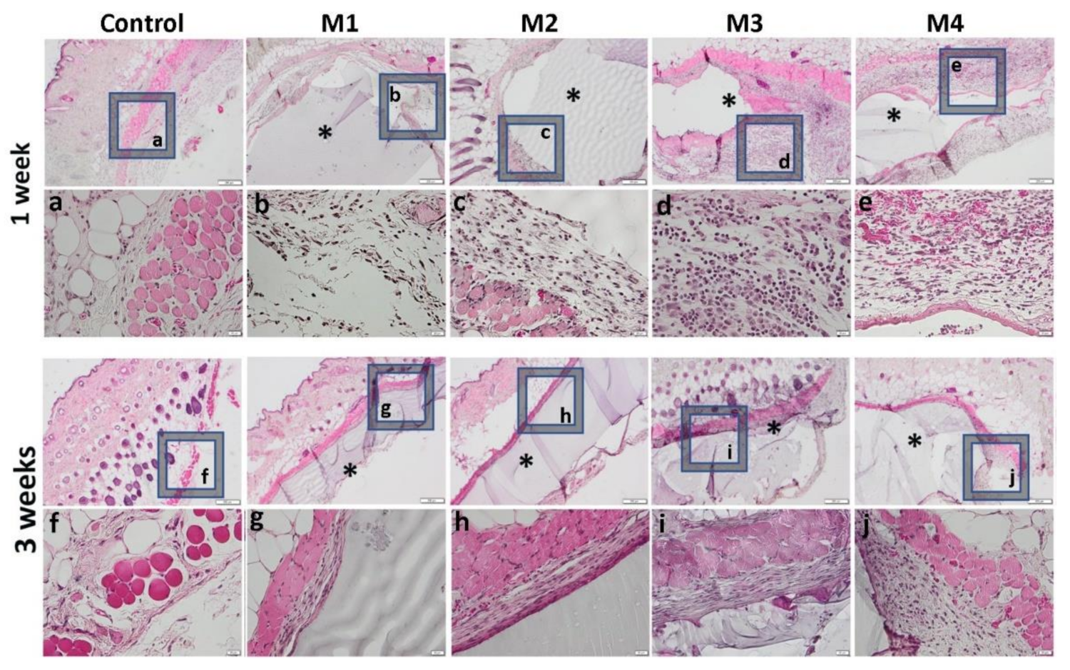 Nanomaterials 12 00503 g013 Nanomaterials 12 00503 g013