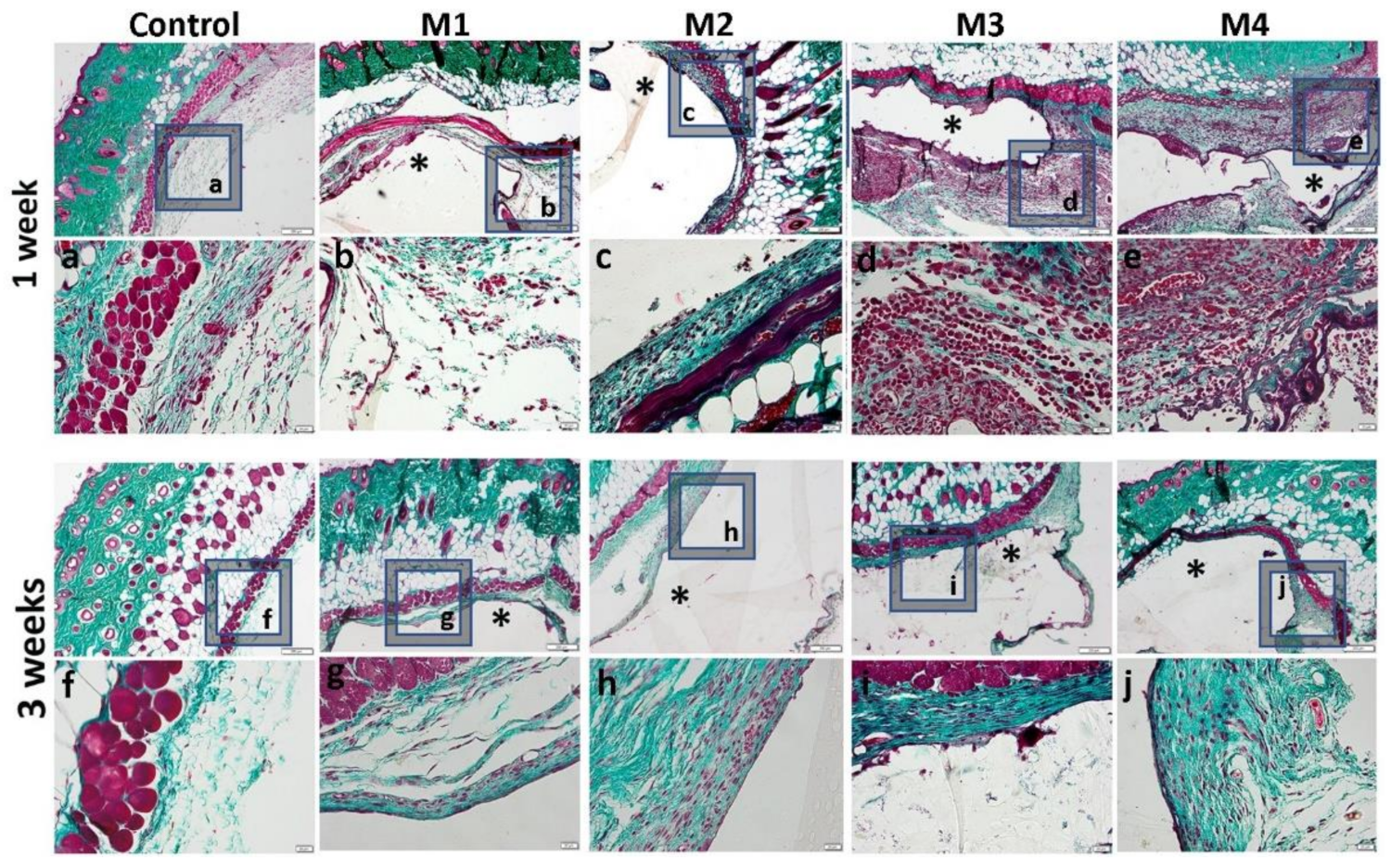 Nanomaterials 12 00503 g014 Nanomaterials 12 00503 g014