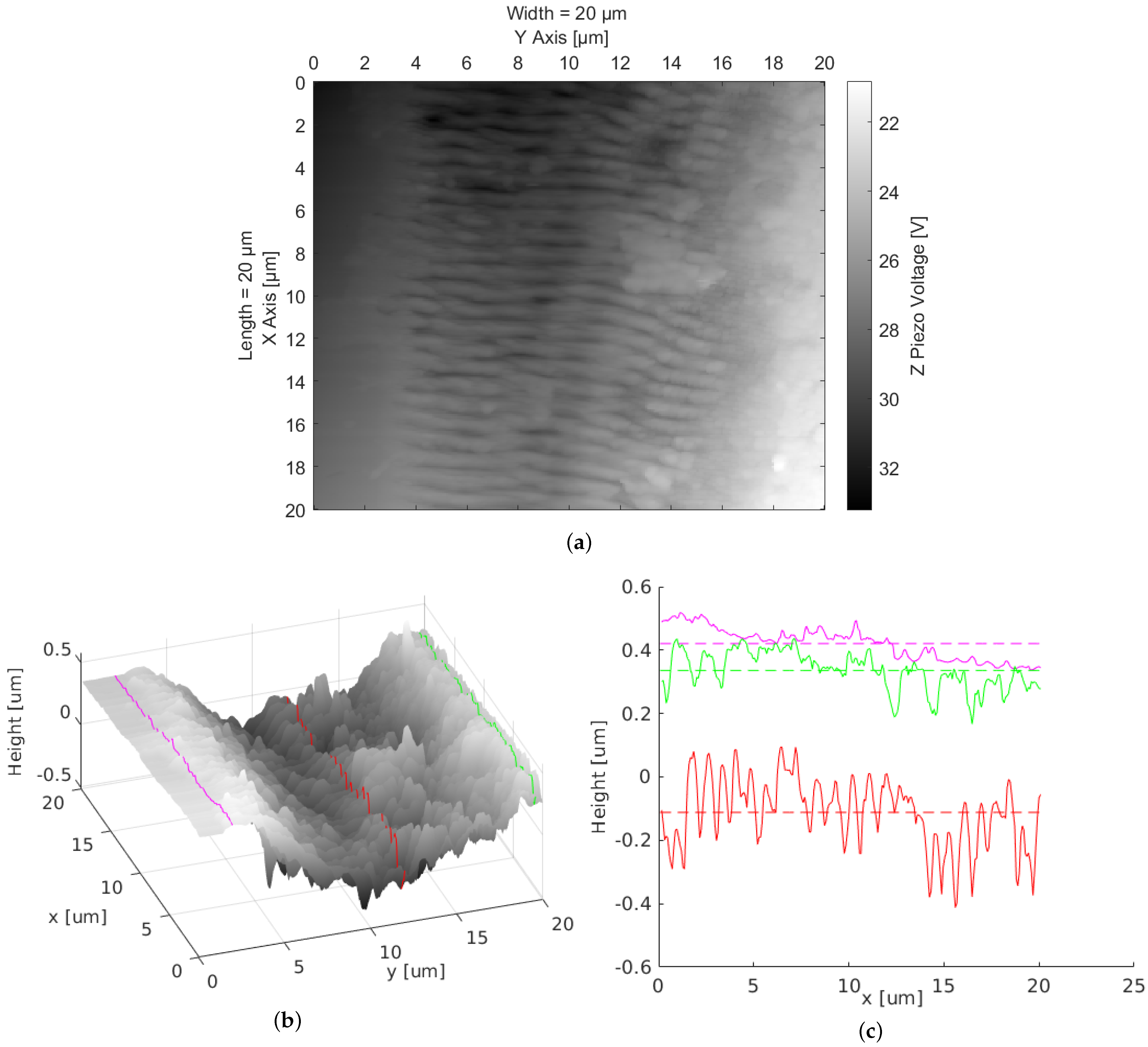 Nanomaterials 12 00505 g002