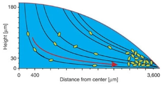 Nanomaterials 12 00507 g009