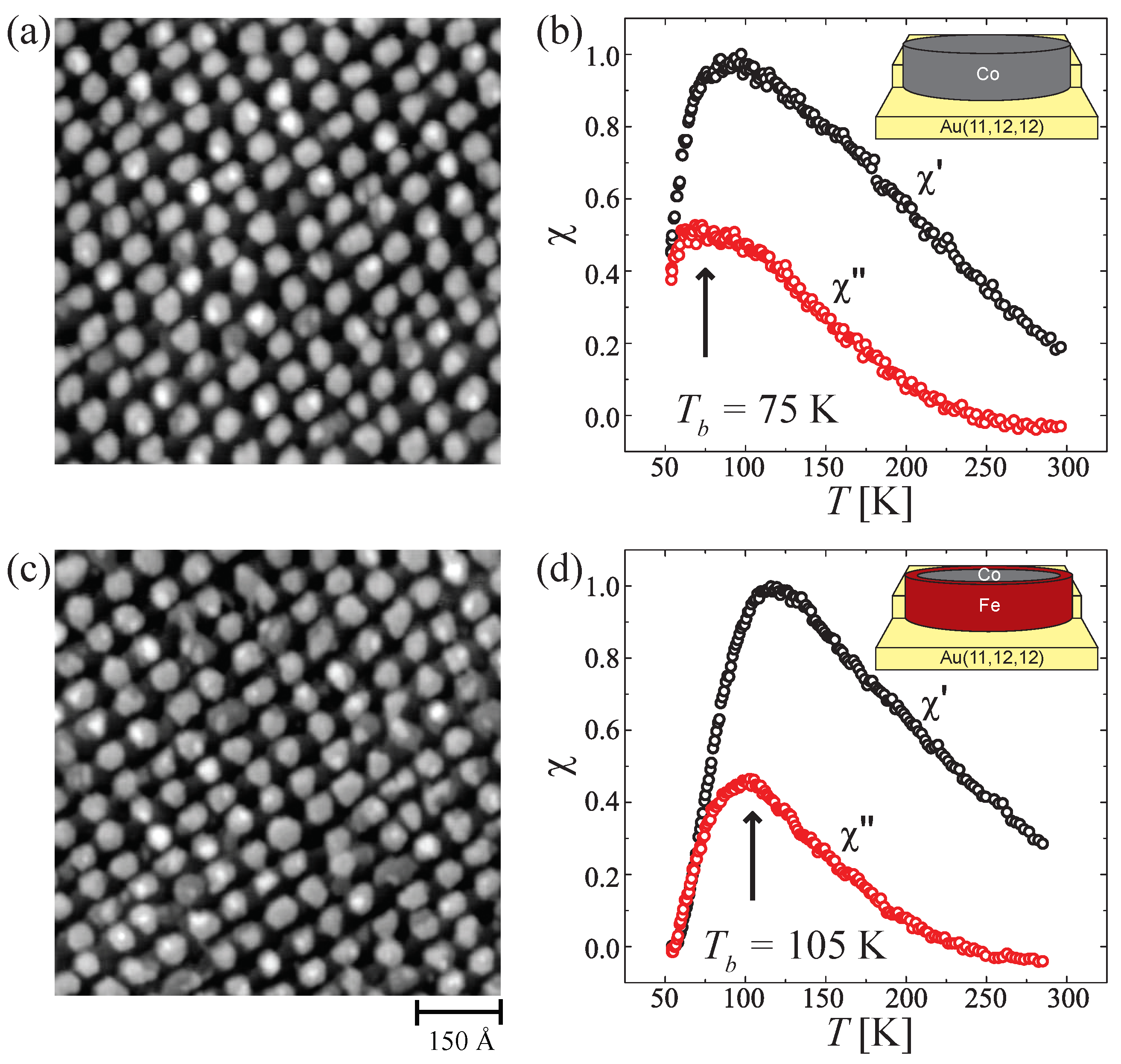 Nanomaterials 12 00518 g005