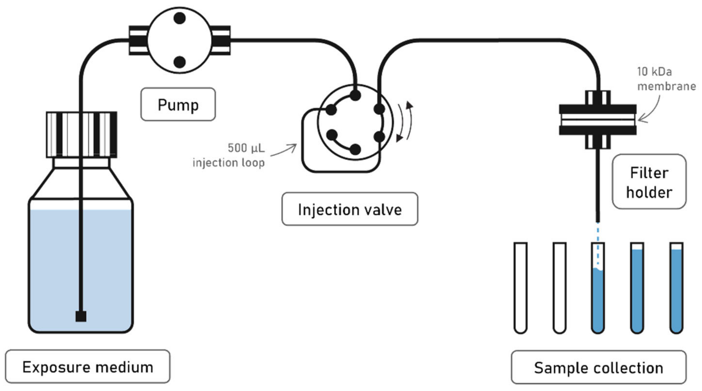 Nanomaterials 12 00519 g001