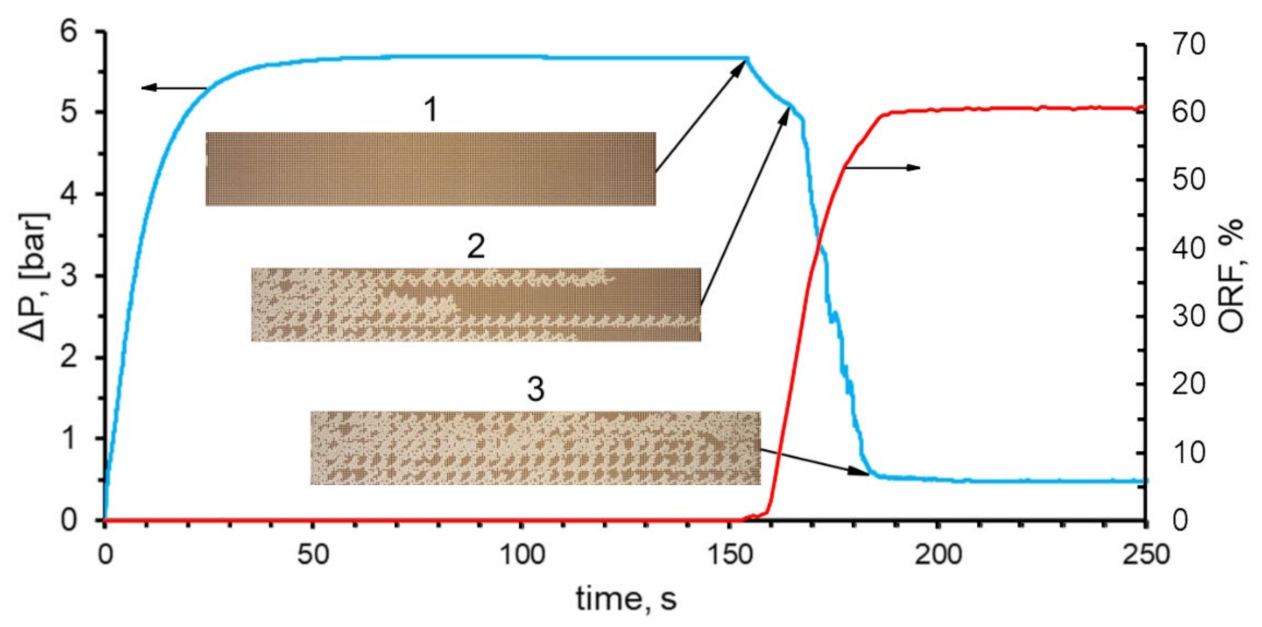 Nanomaterials 12 00520 g005