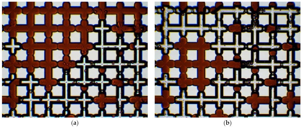 Nanomaterials 12 00520 g011