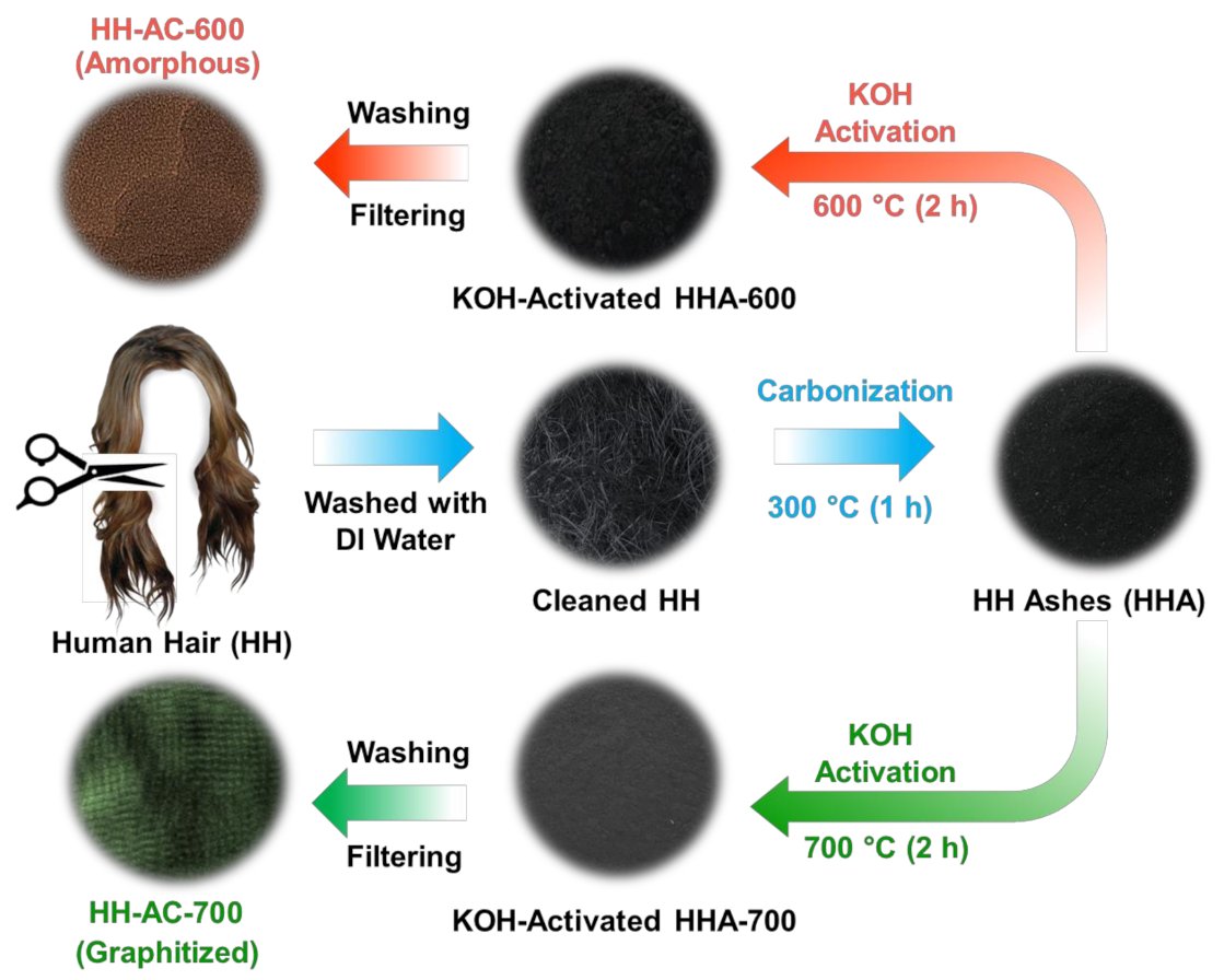 Nanomaterials 12 00531 g001