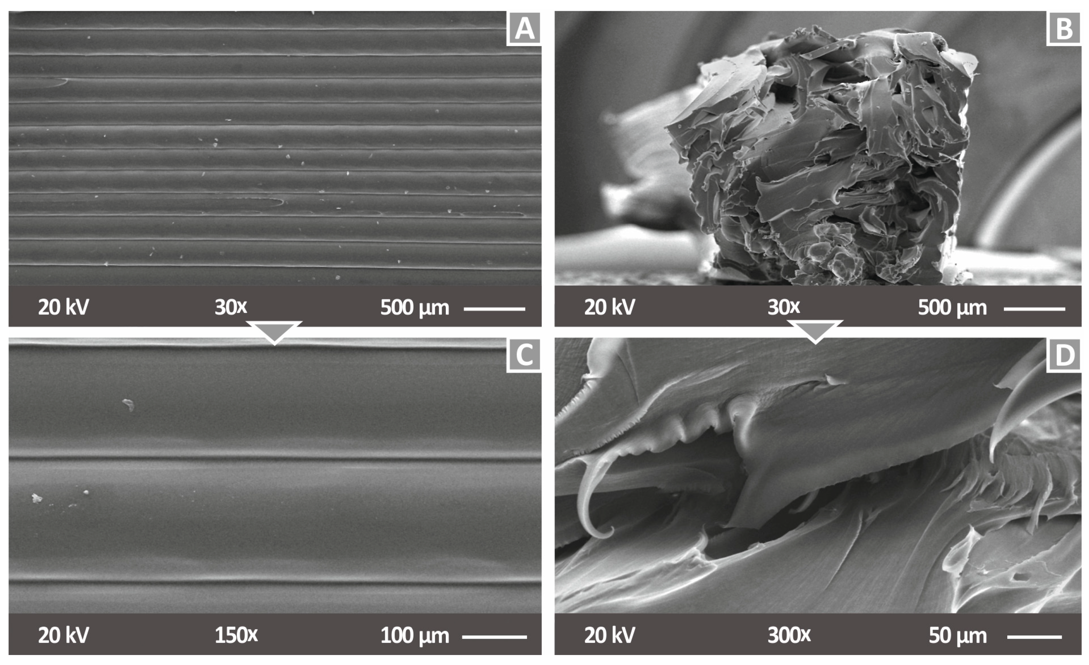 Nanomaterials 12 00534 g006 Nanomaterials 12 00534 g006