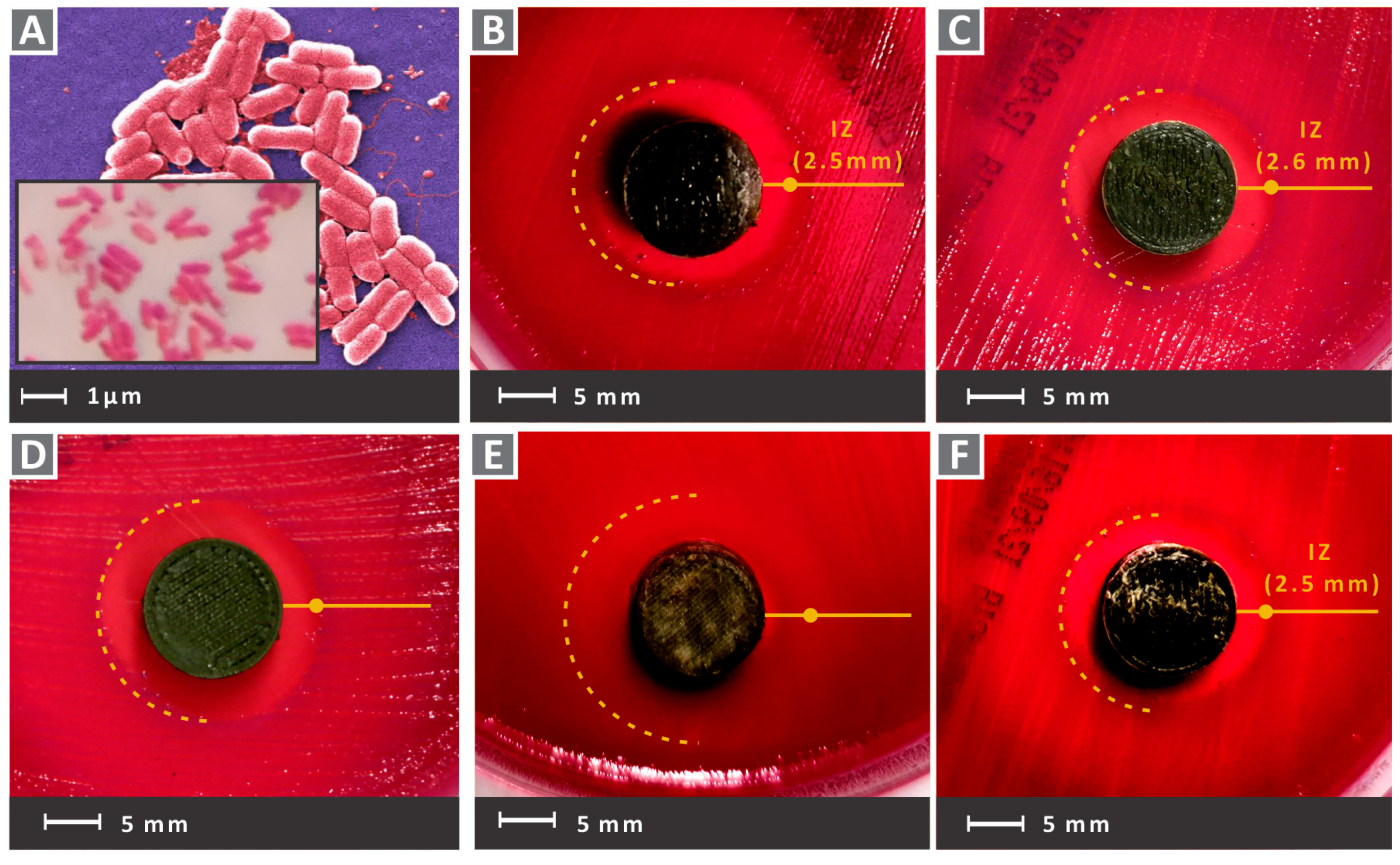 Nanomaterials 12 00534 g012 Nanomaterials 12 00534 g012