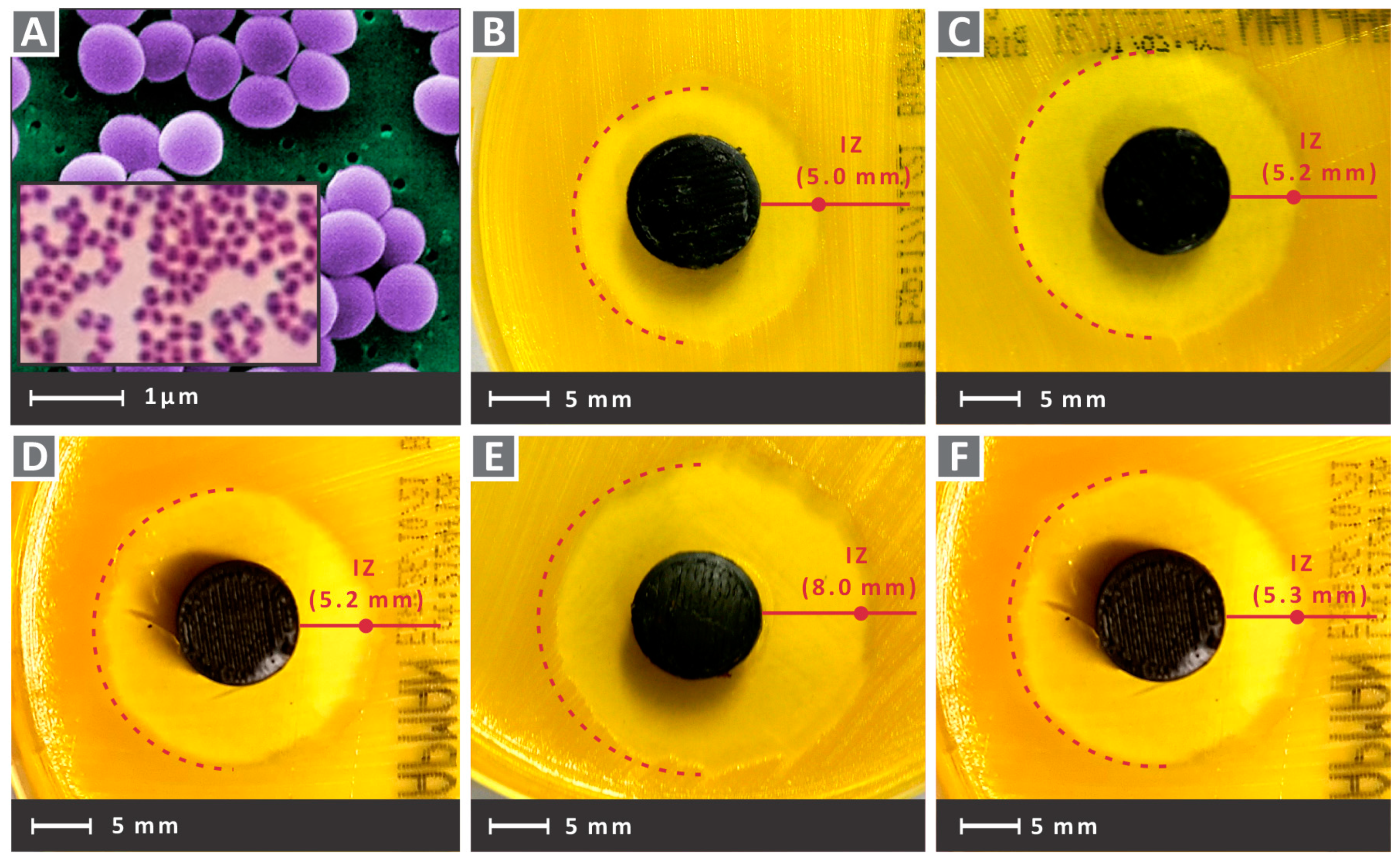 Nanomaterials 12 00534 g013 Nanomaterials 12 00534 g013