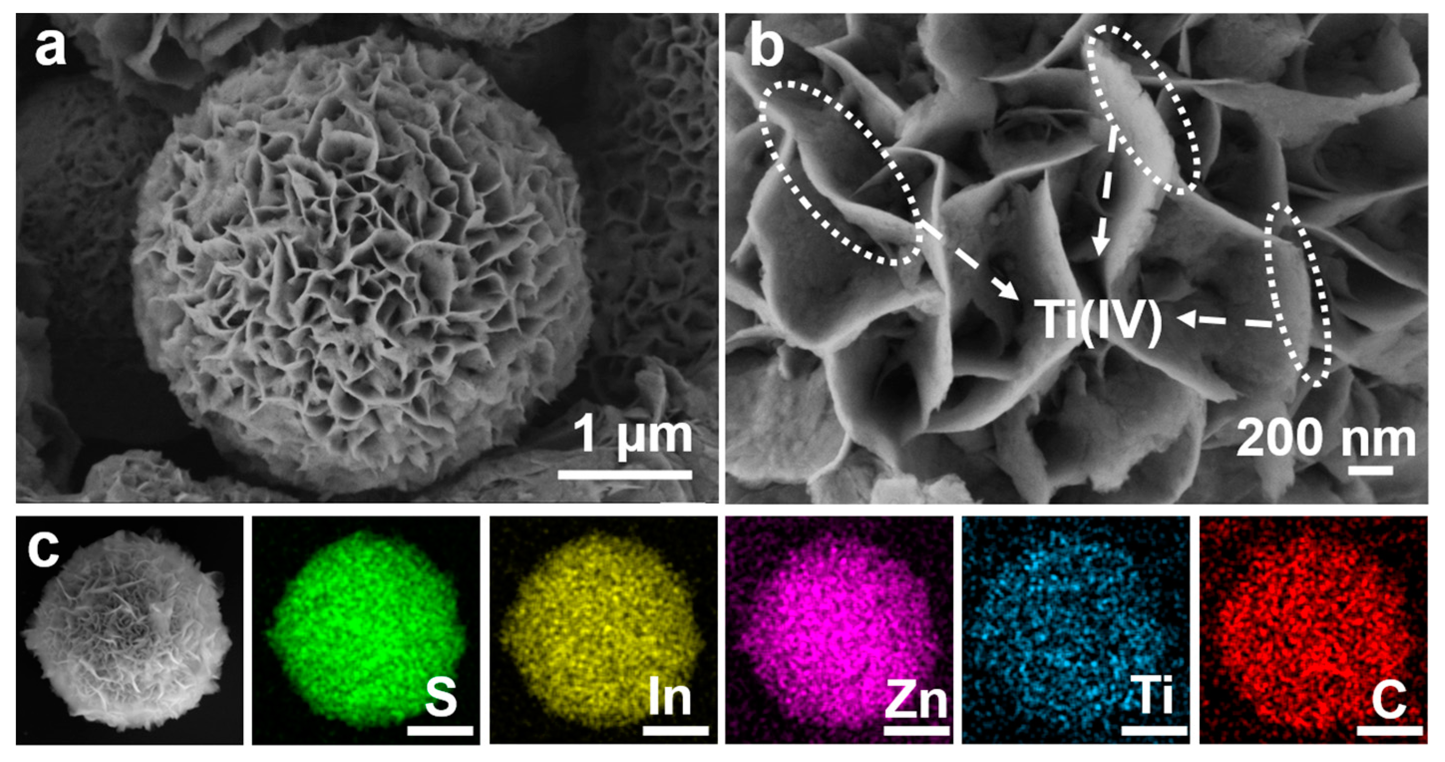 Nanomaterials 12 00542 g002