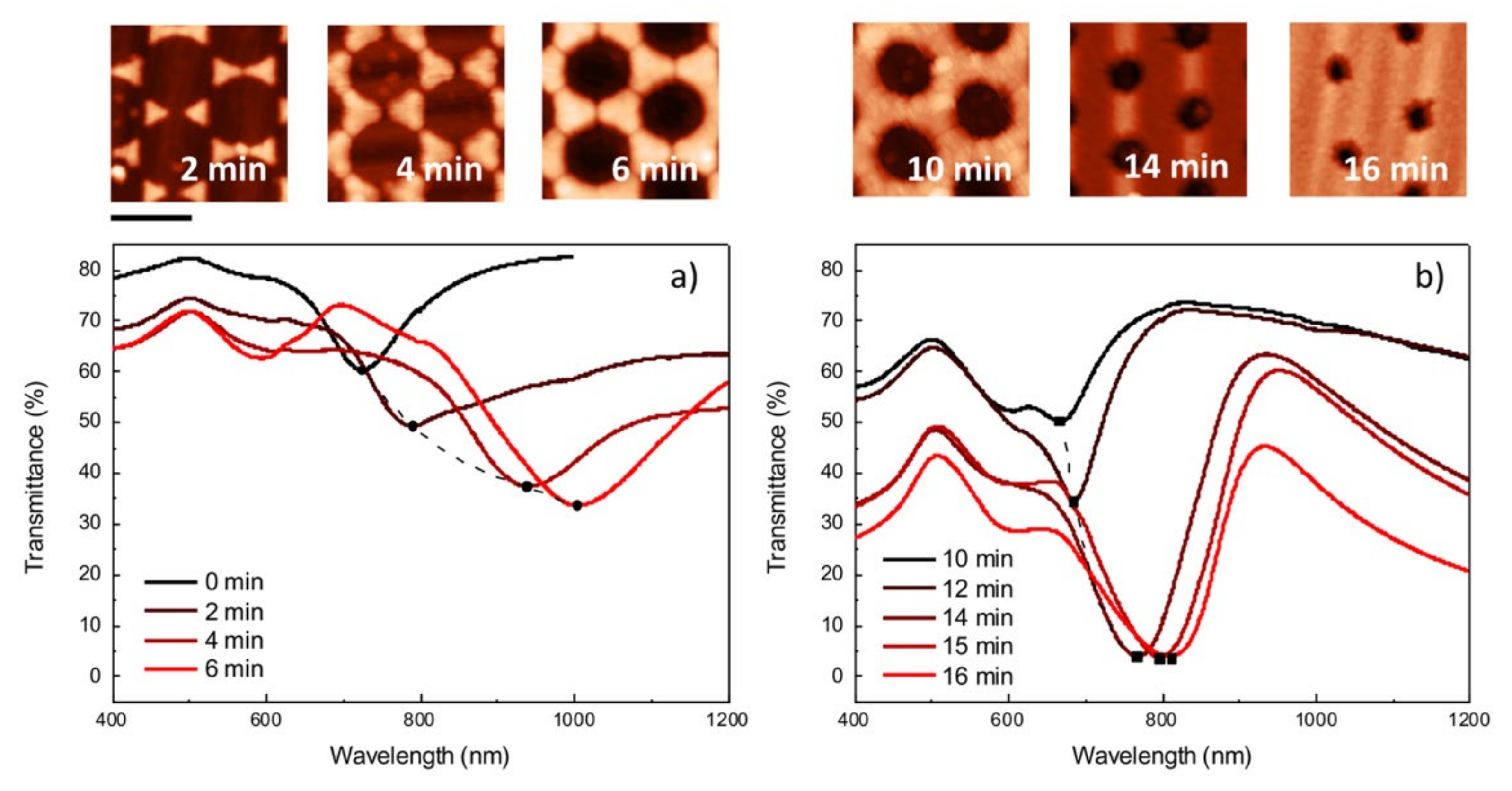 Nanomaterials 12 00547 g005