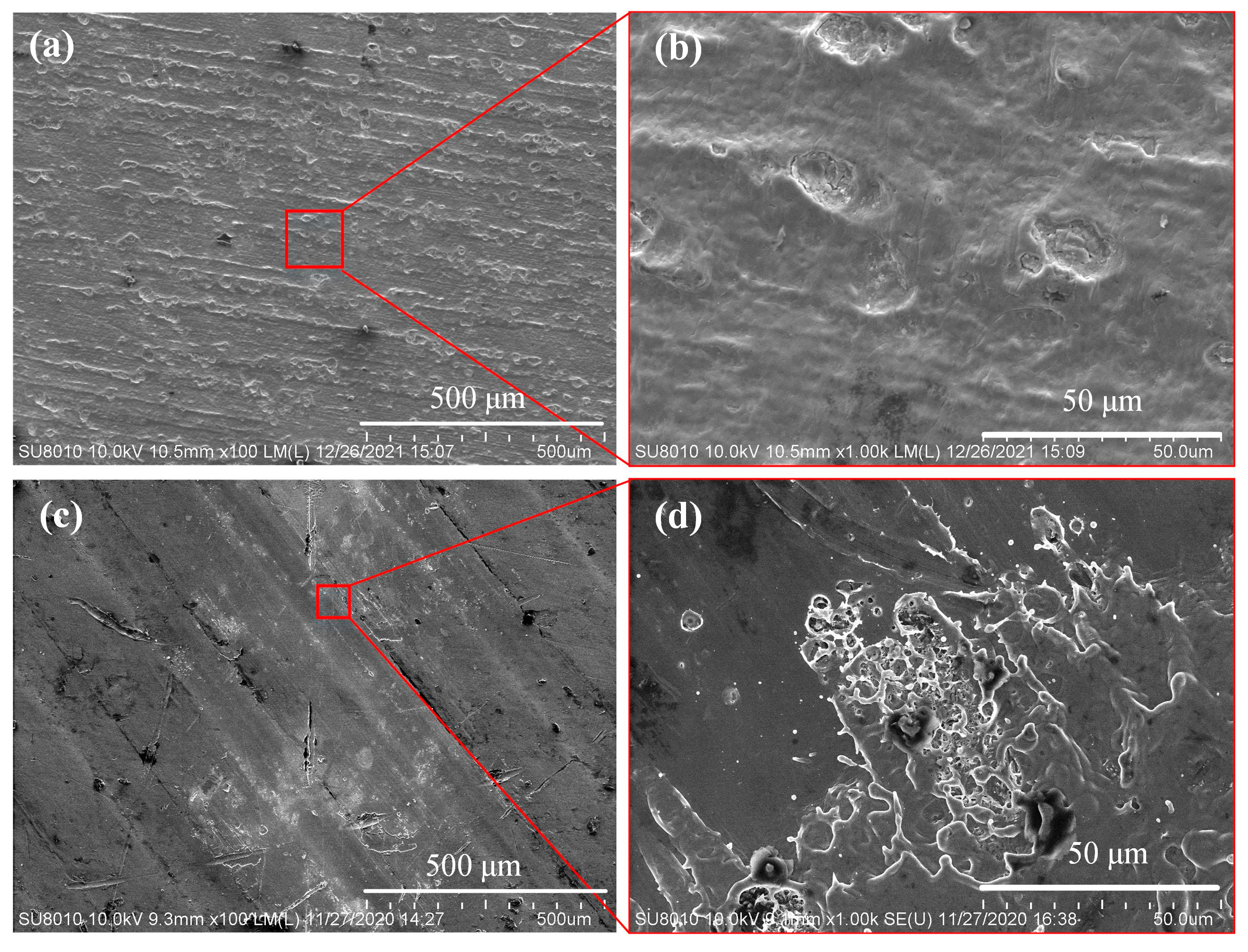 Nanomaterials 12 00559 g005