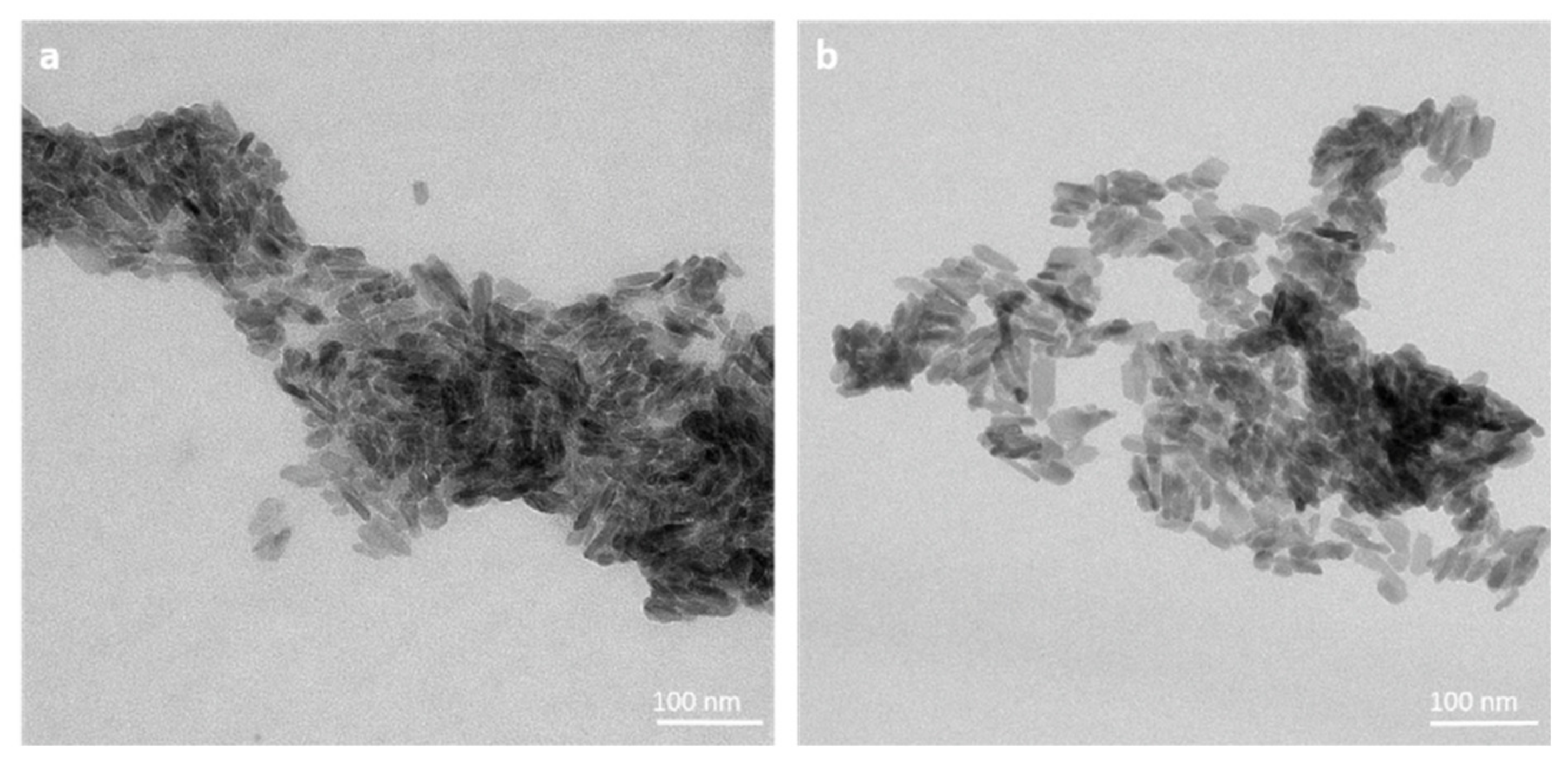 Nanomaterials 12 00562 g001