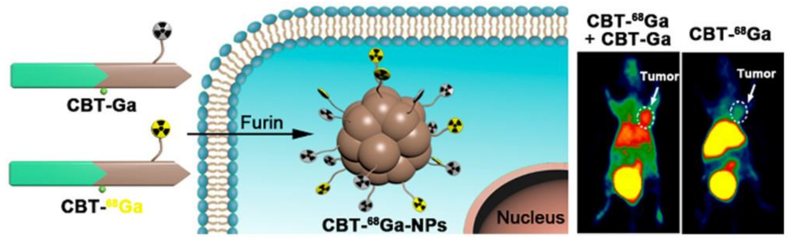 Nanomaterials 12 00582 g001 Nanomaterials 12 00582 g001
