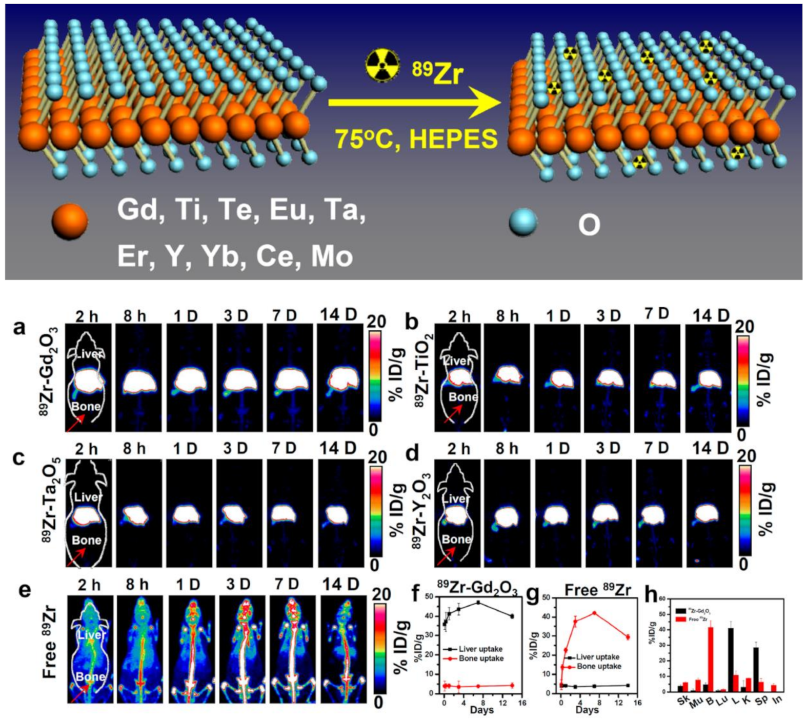 Nanomaterials 12 00582 g002 Nanomaterials 12 00582 g002