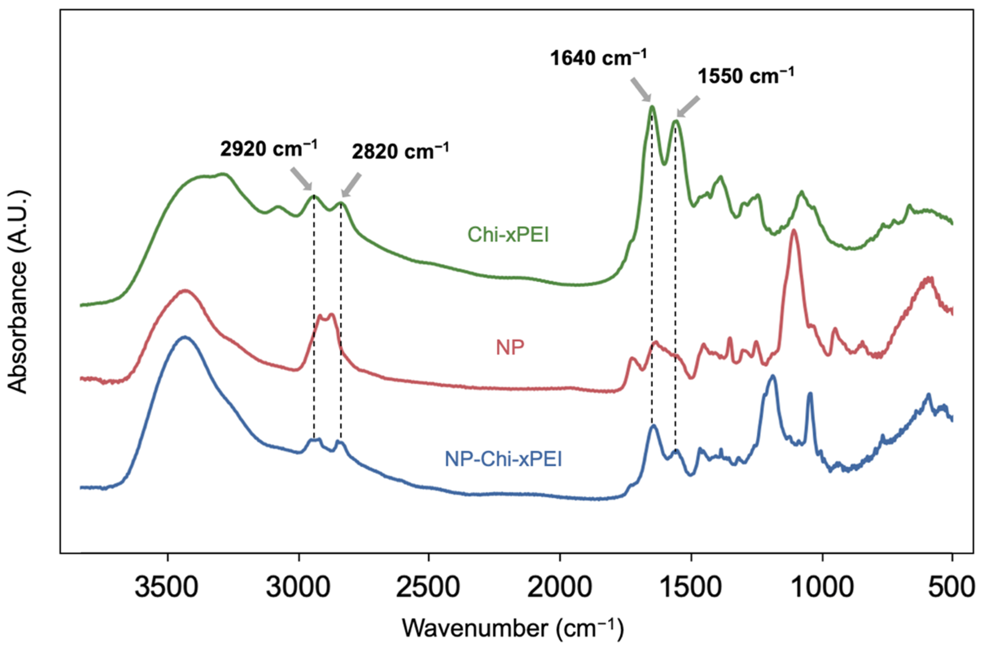 Nanomaterials 12 00584 g003