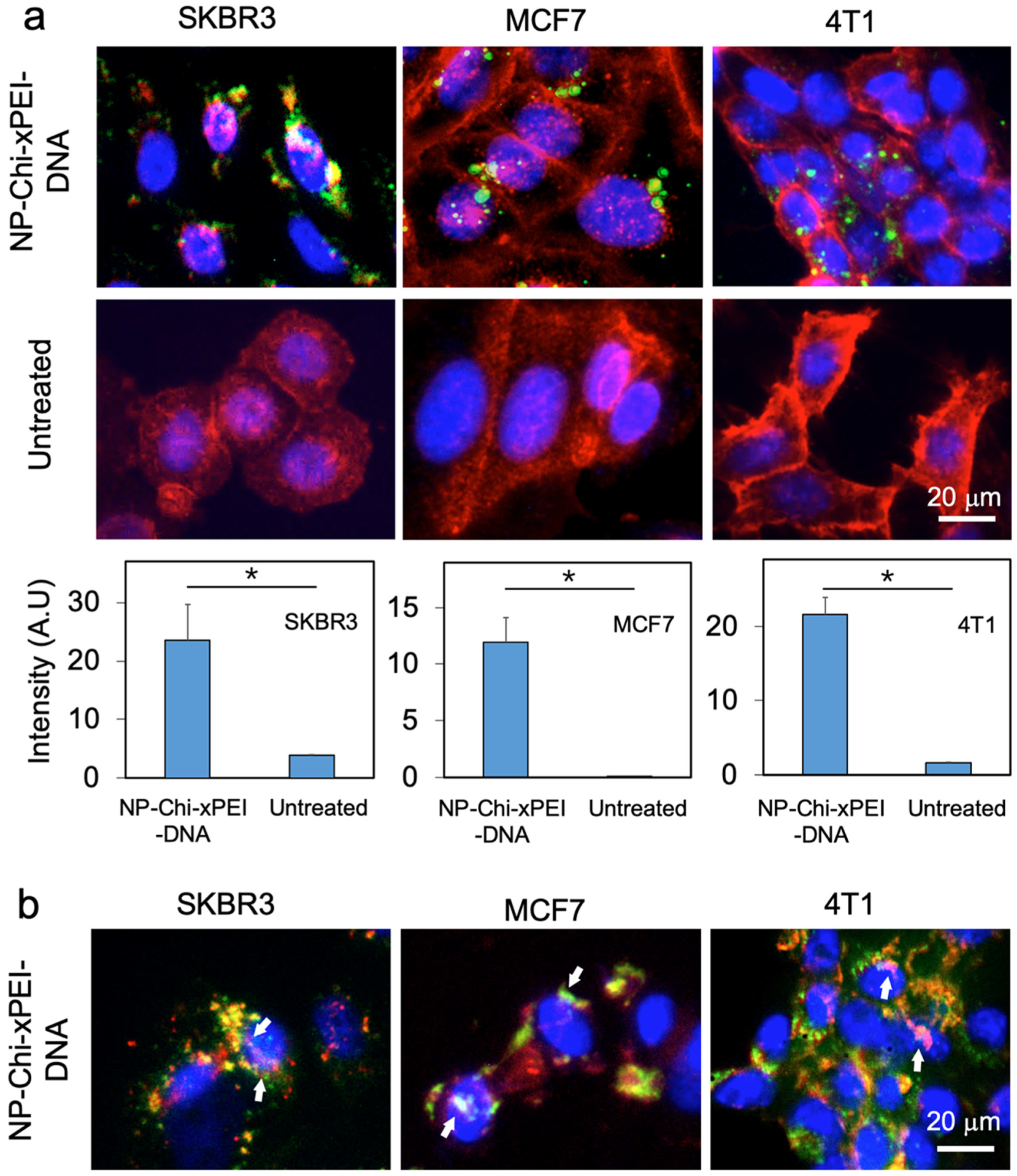 Nanomaterials 12 00584 g006