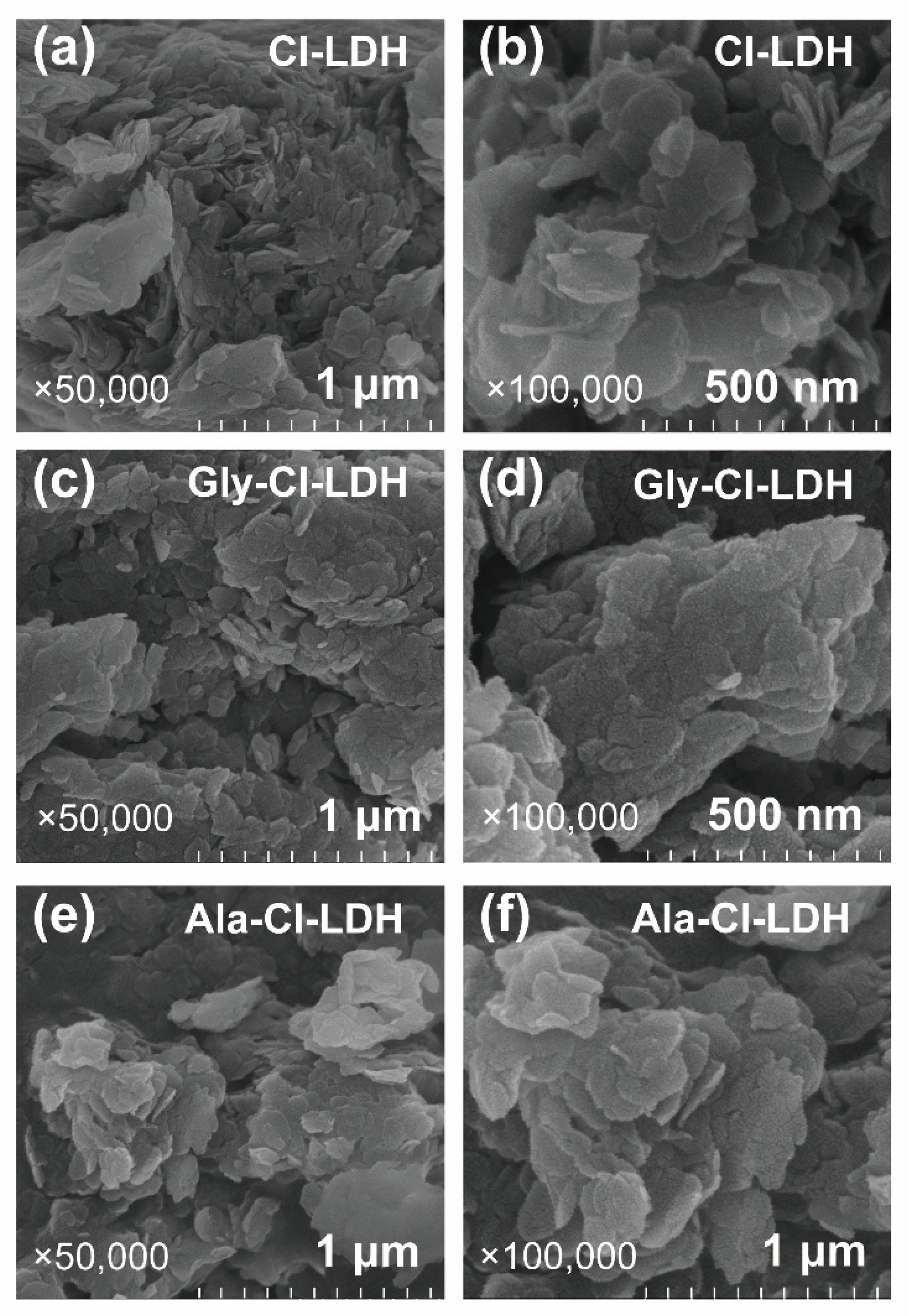 Nanomaterials 12 00586 g001