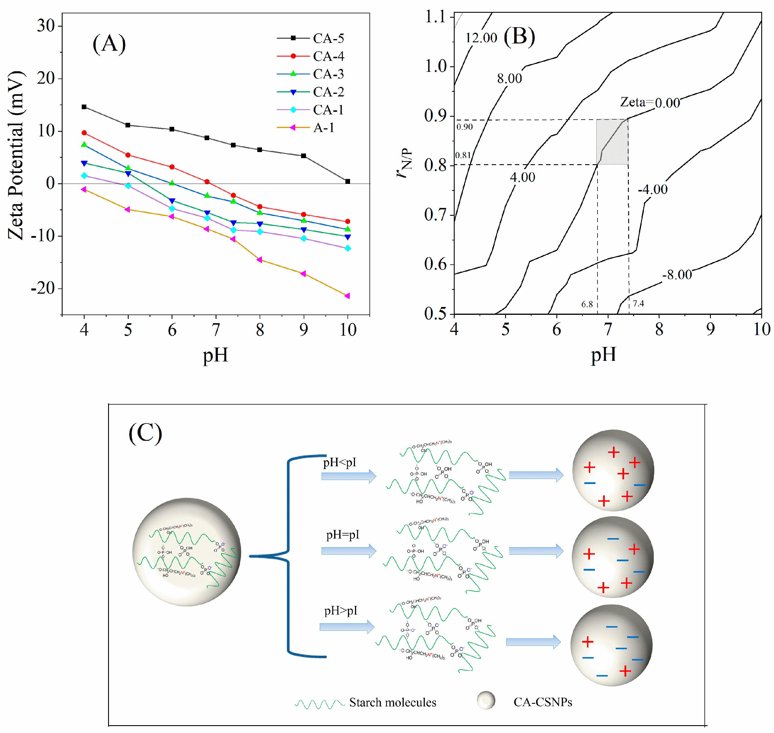 Nanomaterials 12 00598 g005