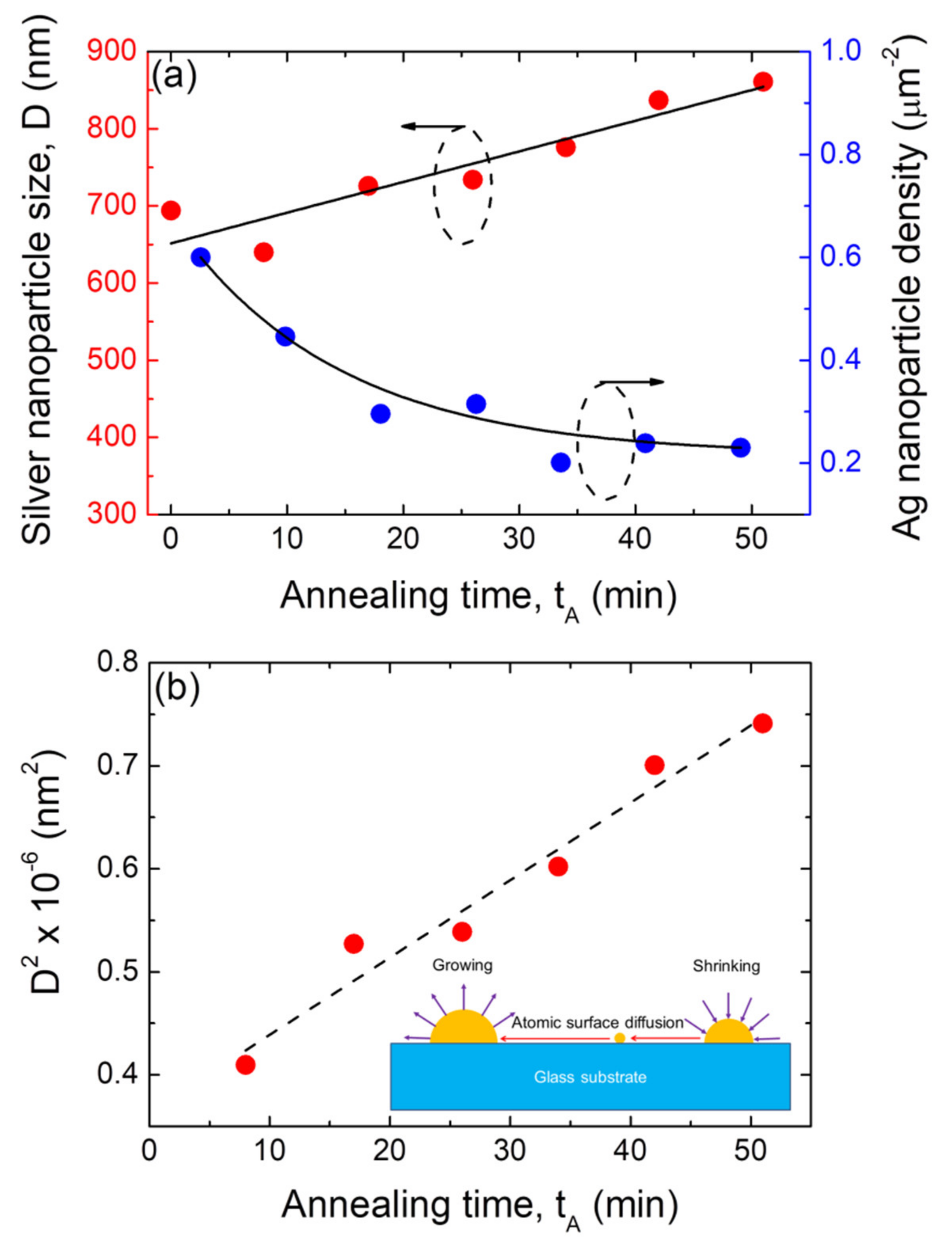 Nanomaterials 12 00617 g008