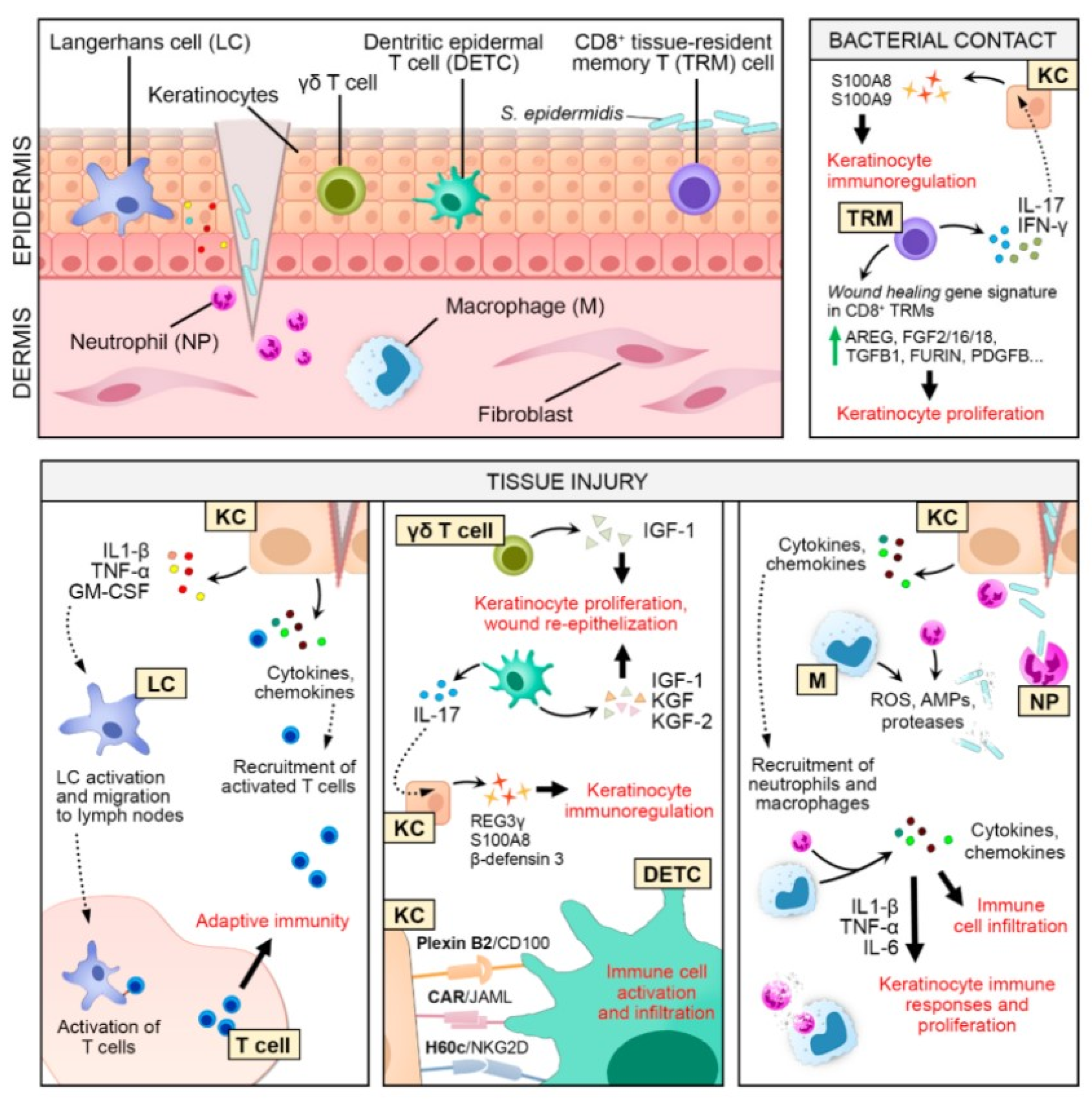 Nanomaterials 12 00618 g002