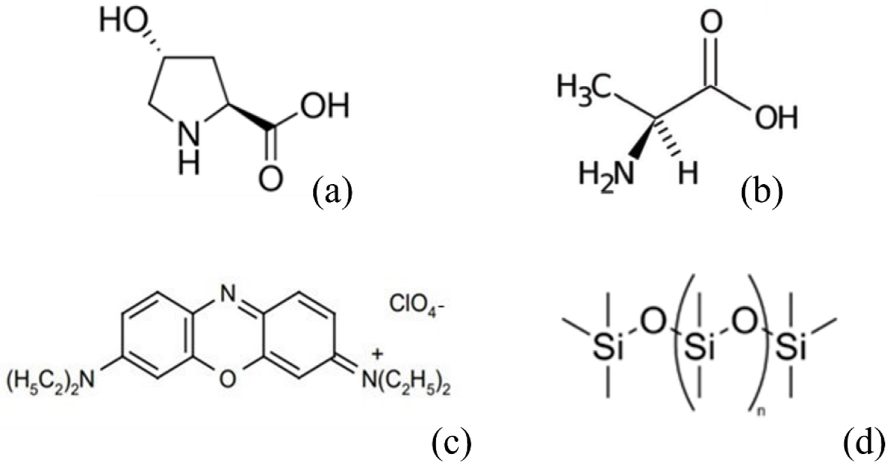 Nanomaterials 12 00619 g002